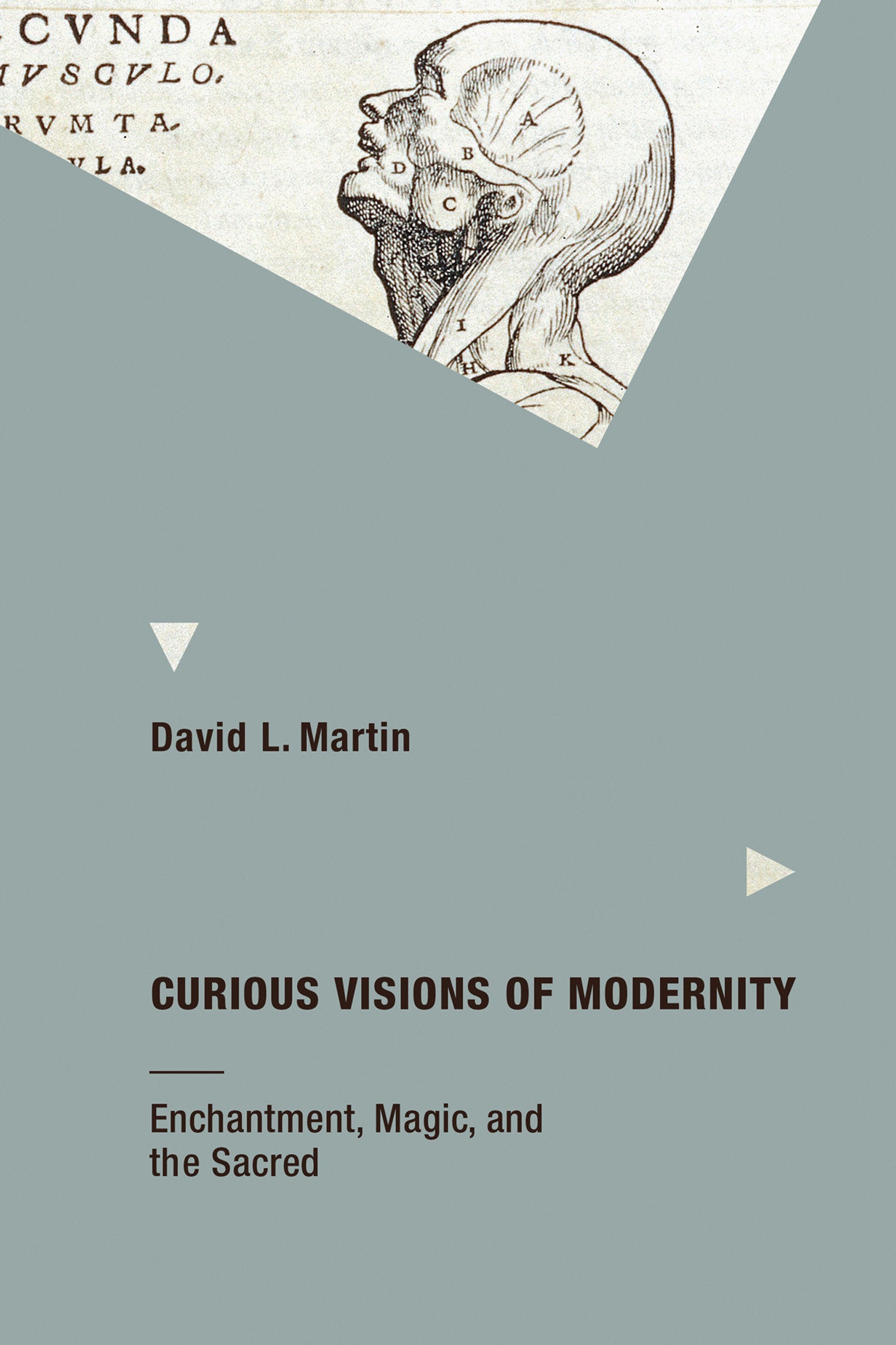 Curious Visions of Modernity - Enchantment, Magic, and the Sacred