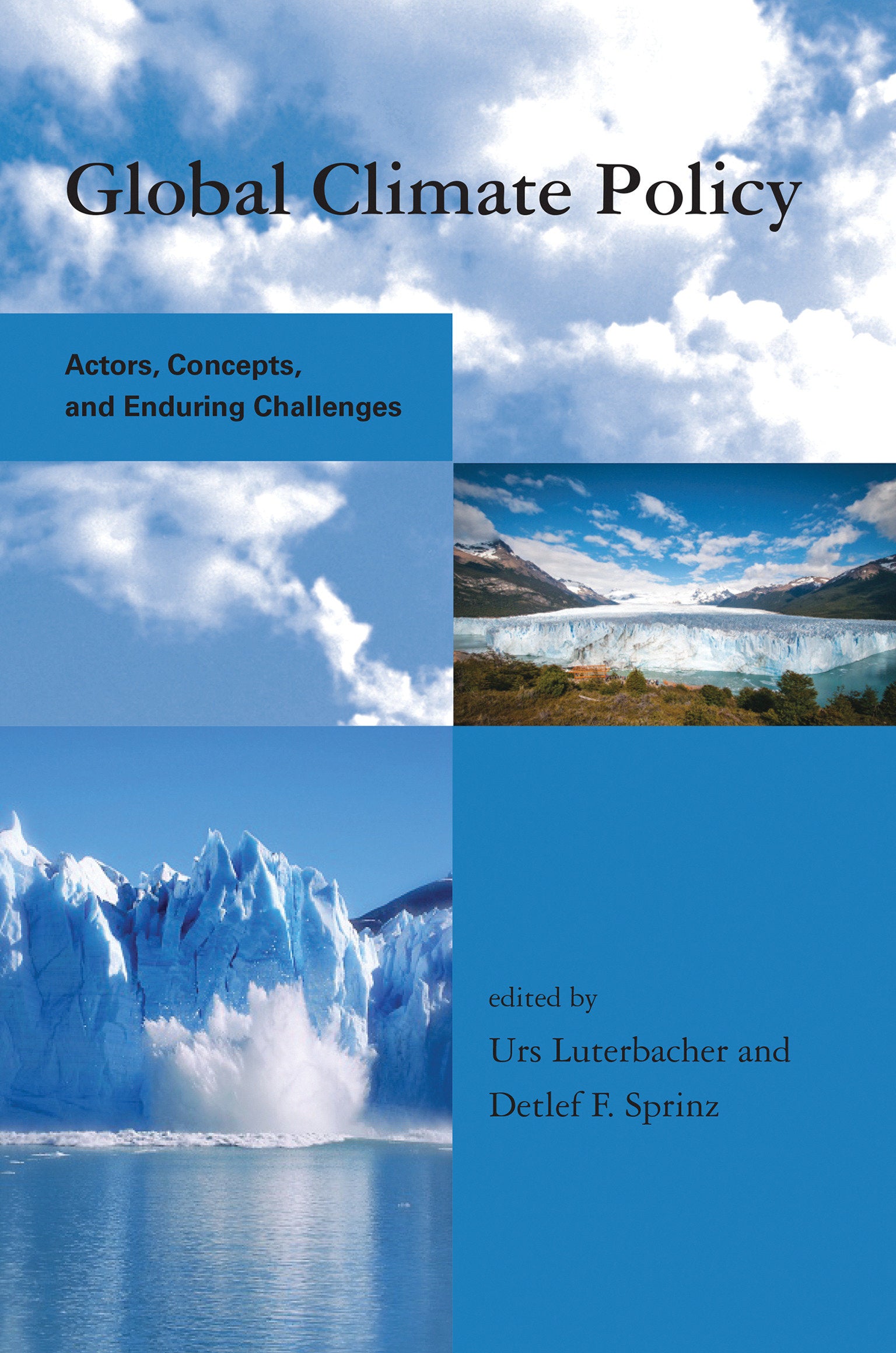 Global Climate Policy - Actors, Concepts, and Enduring Challenges (Global Environmental Accord: Strategies for Sustainability and Institutional Innovation)