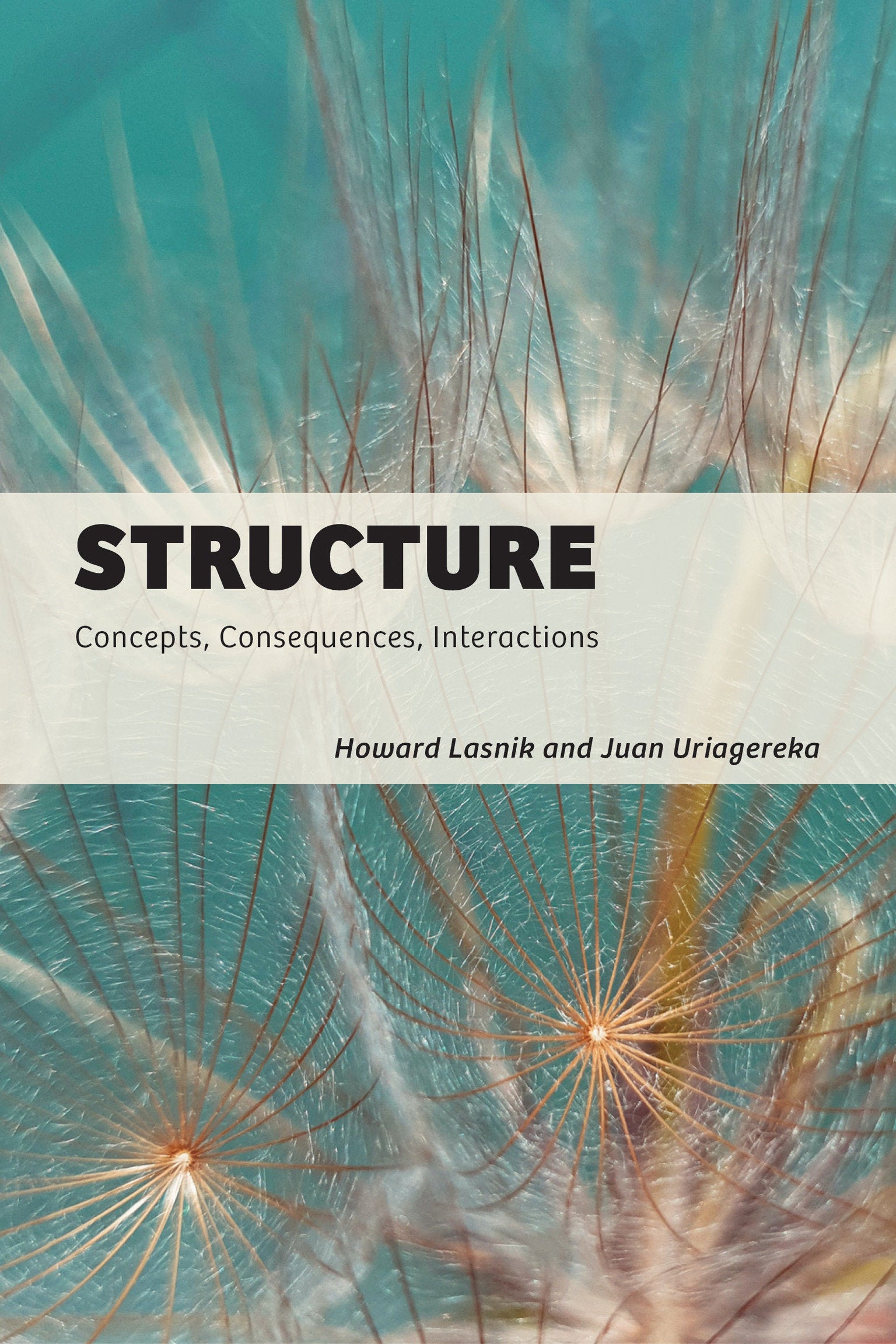 Structure - Concepts, Consequences, Interactions