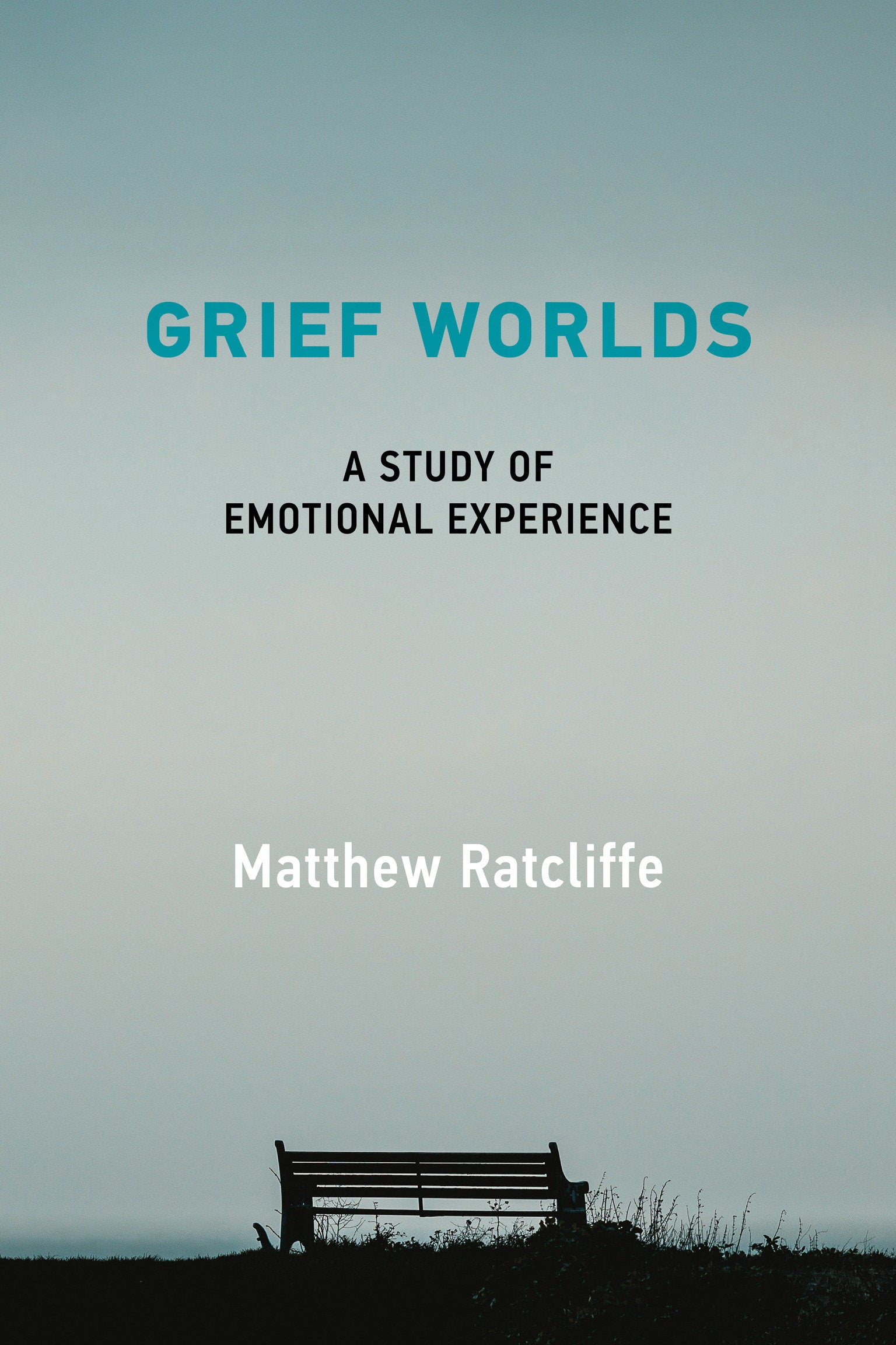 Grief Worlds - A Study of Emotional Experience