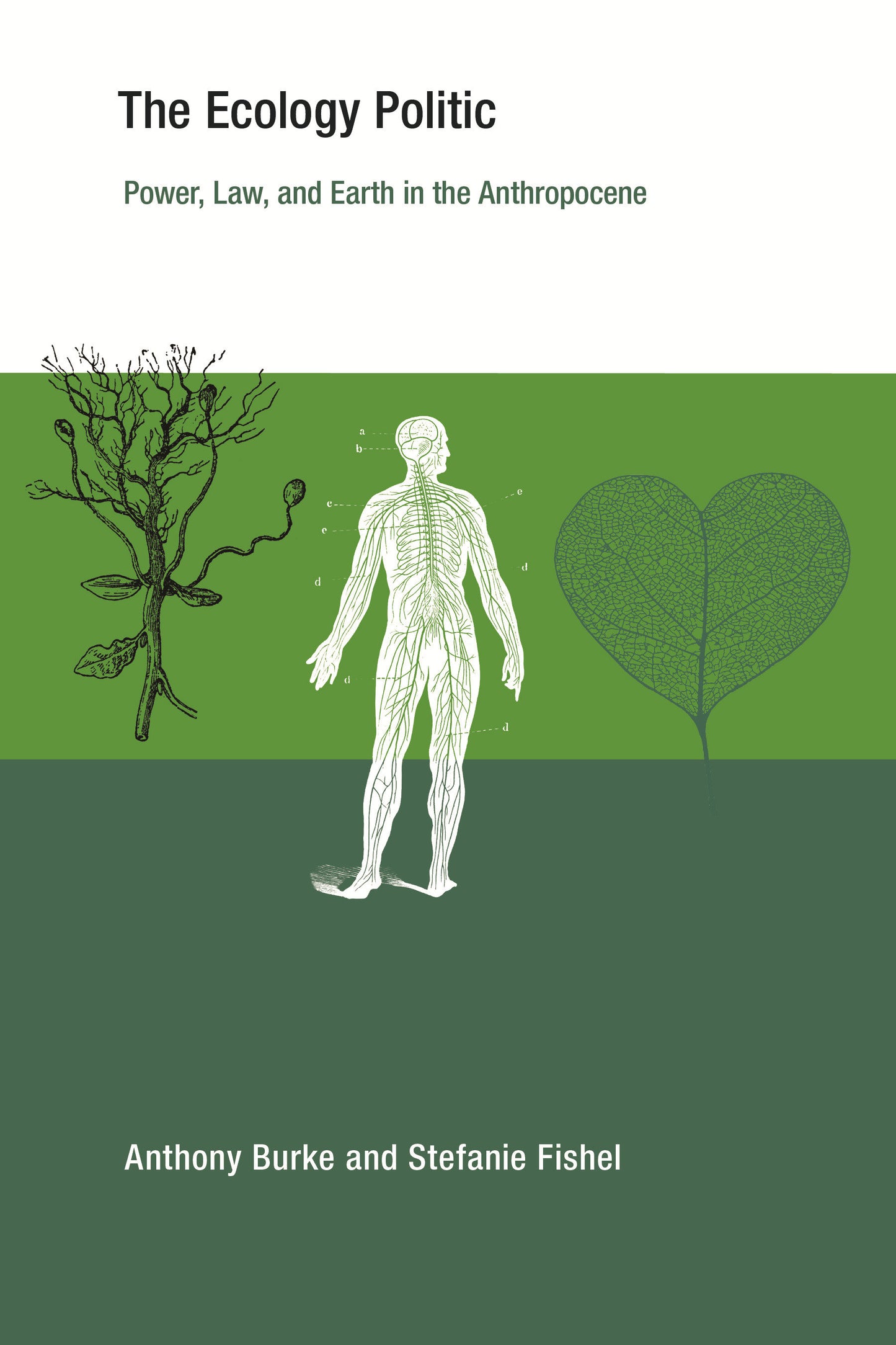 The Ecology Politic - Power, Law, and Earth in the Anthropocene (Earth System Governance)