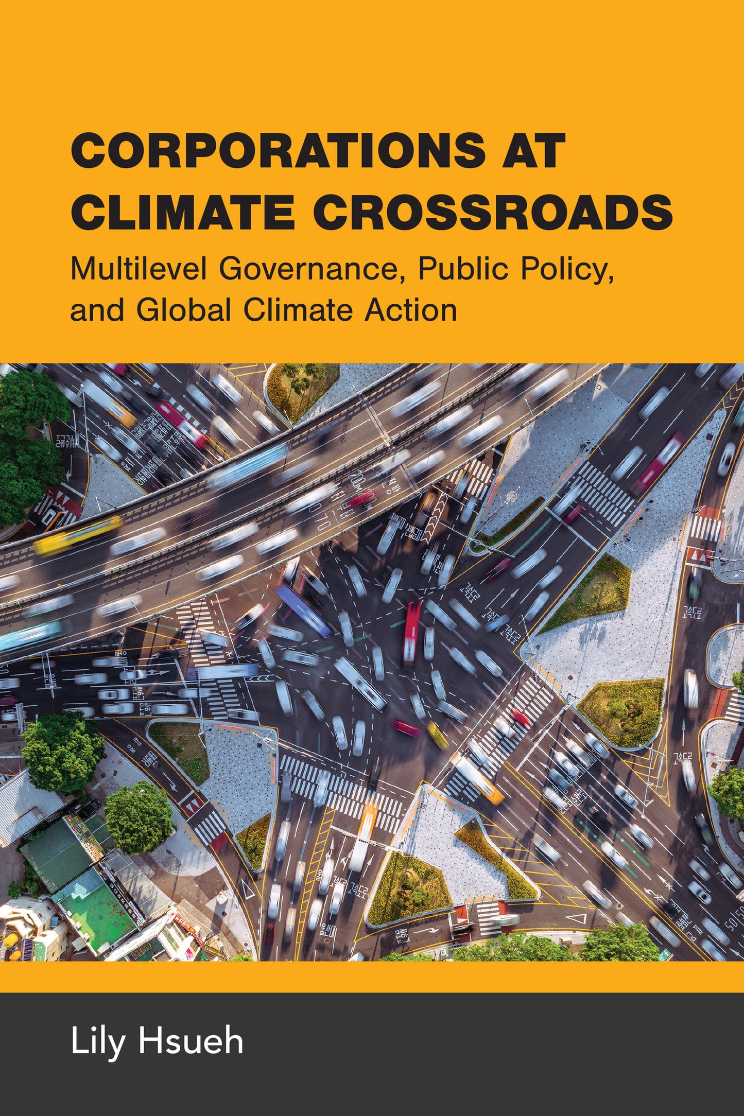 Corporations at Climate Crossroads - Multilevel Governance, Public Policy, and Global Climate Action