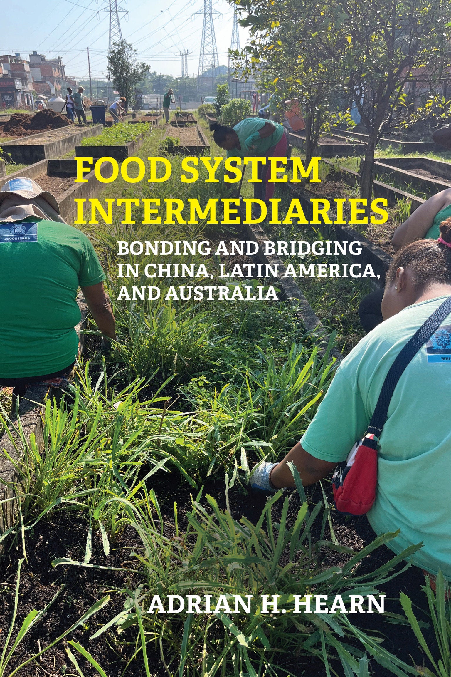 Food System Intermediaries - Bonding and Bridging in China, Latin America, and Australia (Food, Health, and the Environment)