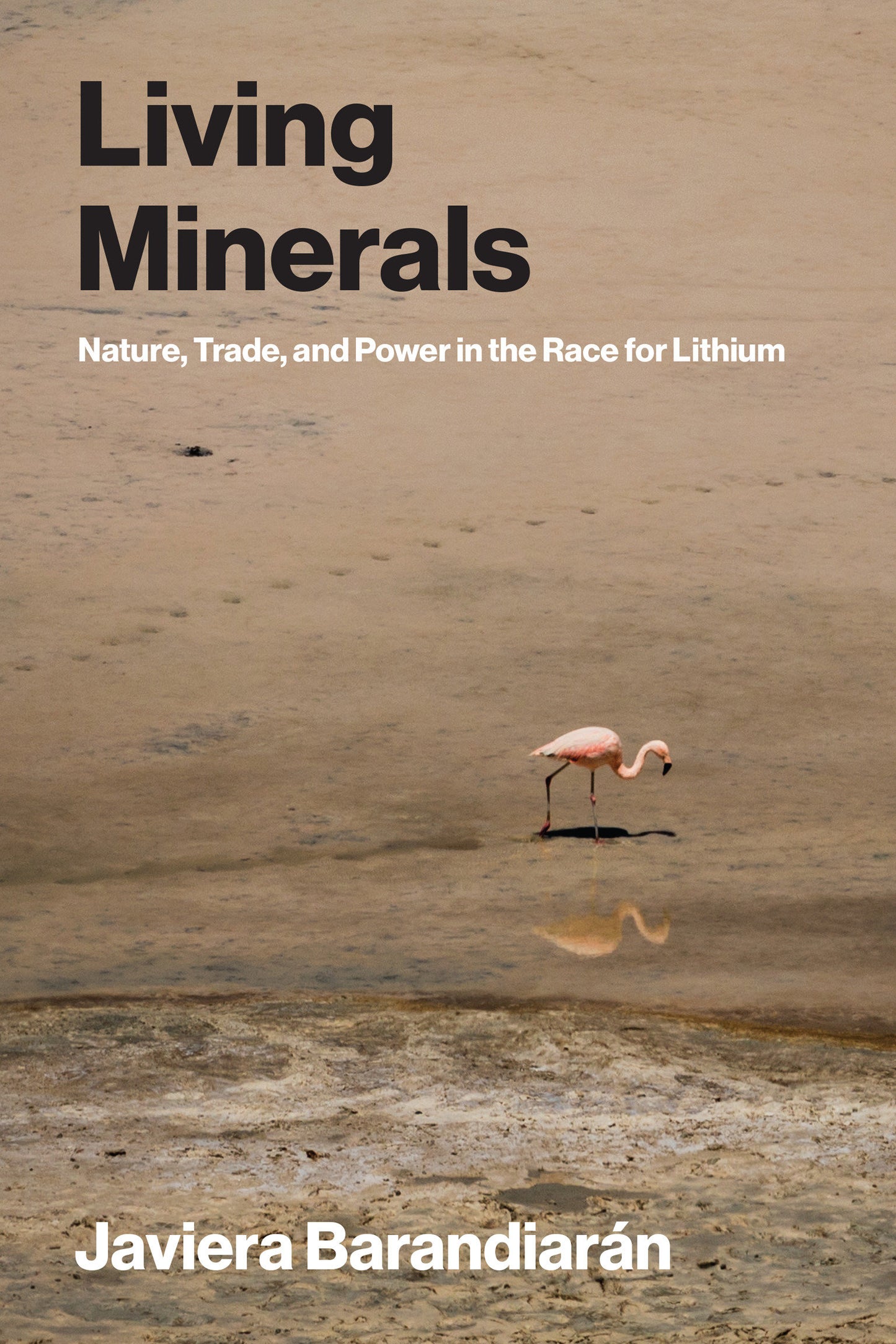 Living Minerals - Nature, Trade, and Power in the Race for Lithium (Urban and Industrial Environments)