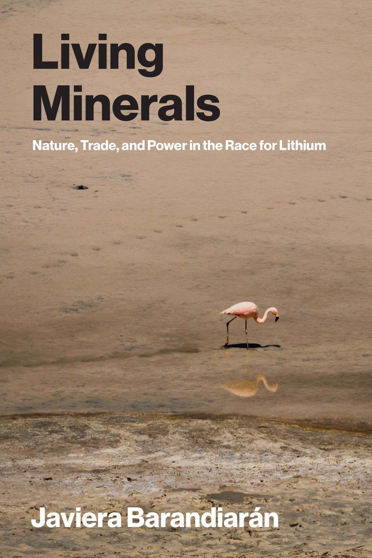 Living Minerals - Nature, Trade, and Power in the Race for Lithium (Urban and Industrial Environments)