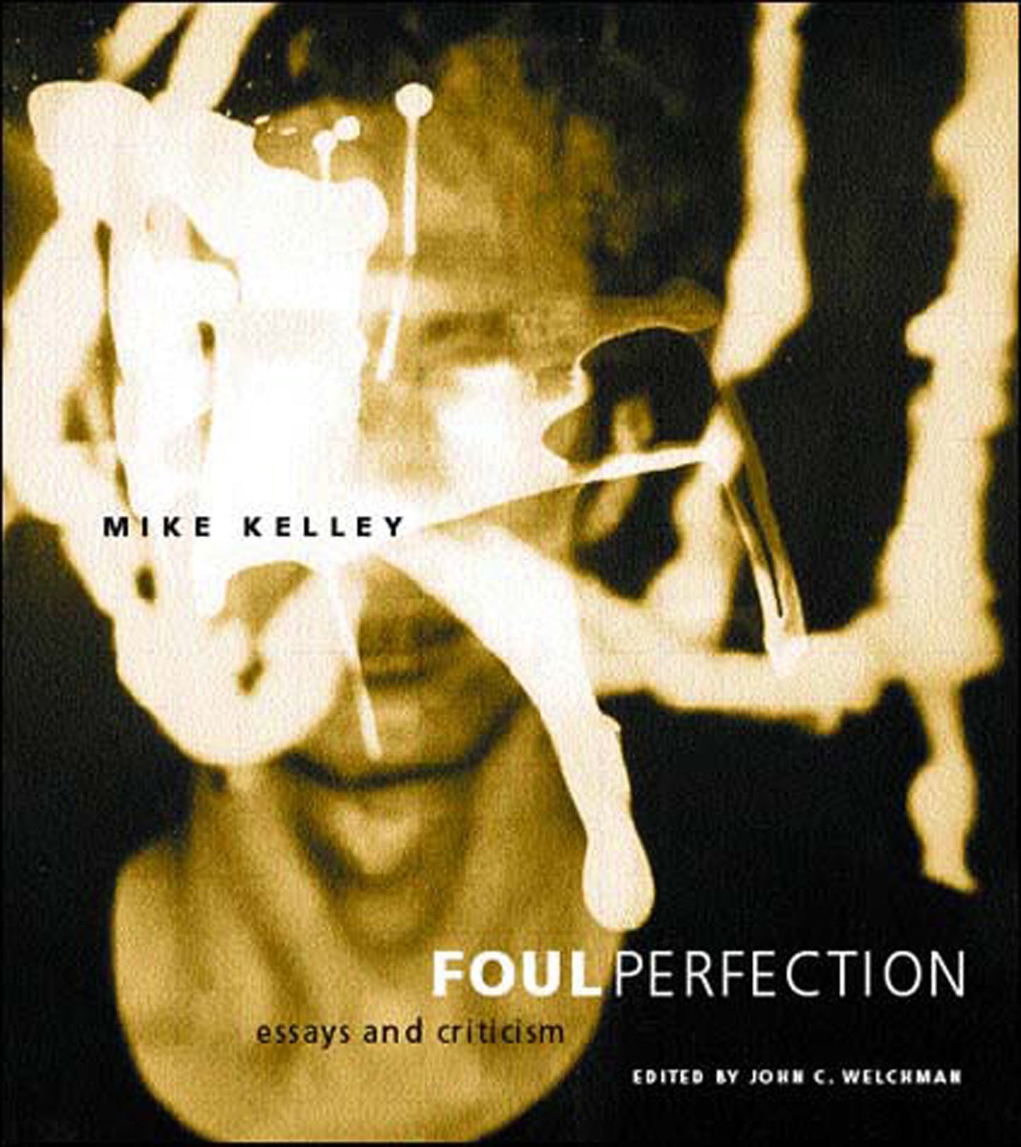 Foul Perfection - Essays and Criticism (Writing Art)