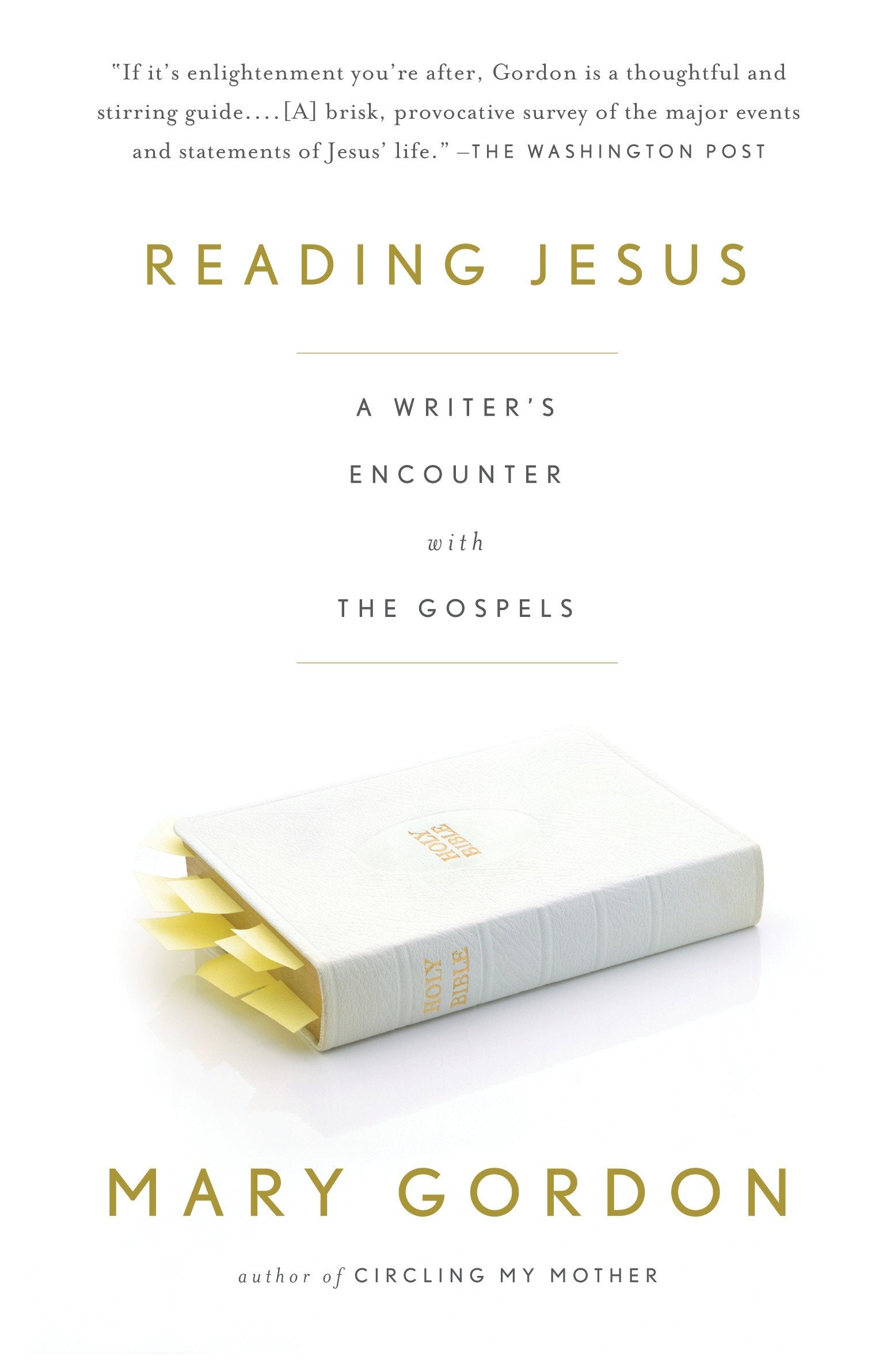 Reading Jesus - A Writer's Encounter with the Gospels