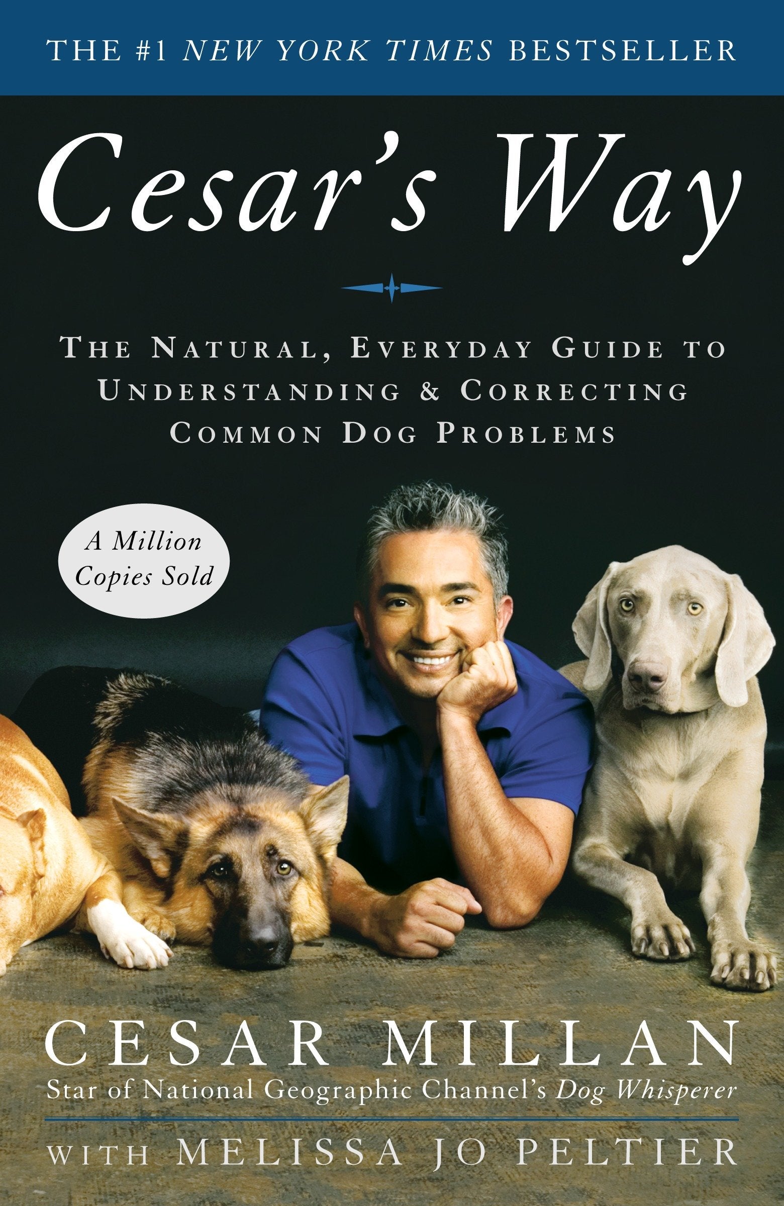 Cesar's Way - The Natural, Everyday Guide to Understanding and Correcting Common Dog Problems