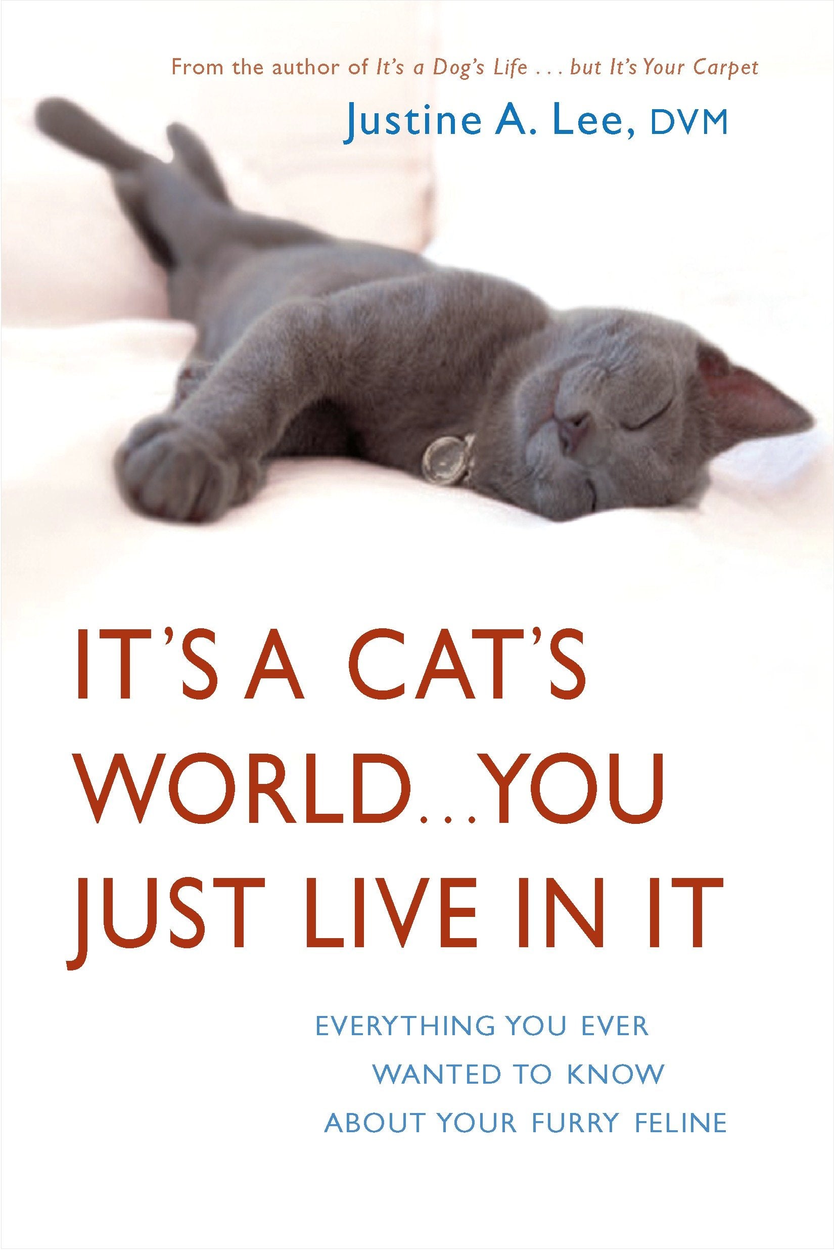 It's a Cat's World . . . You Just Live in It - Everything You Ever Wanted to Know About Your Furry Feline
