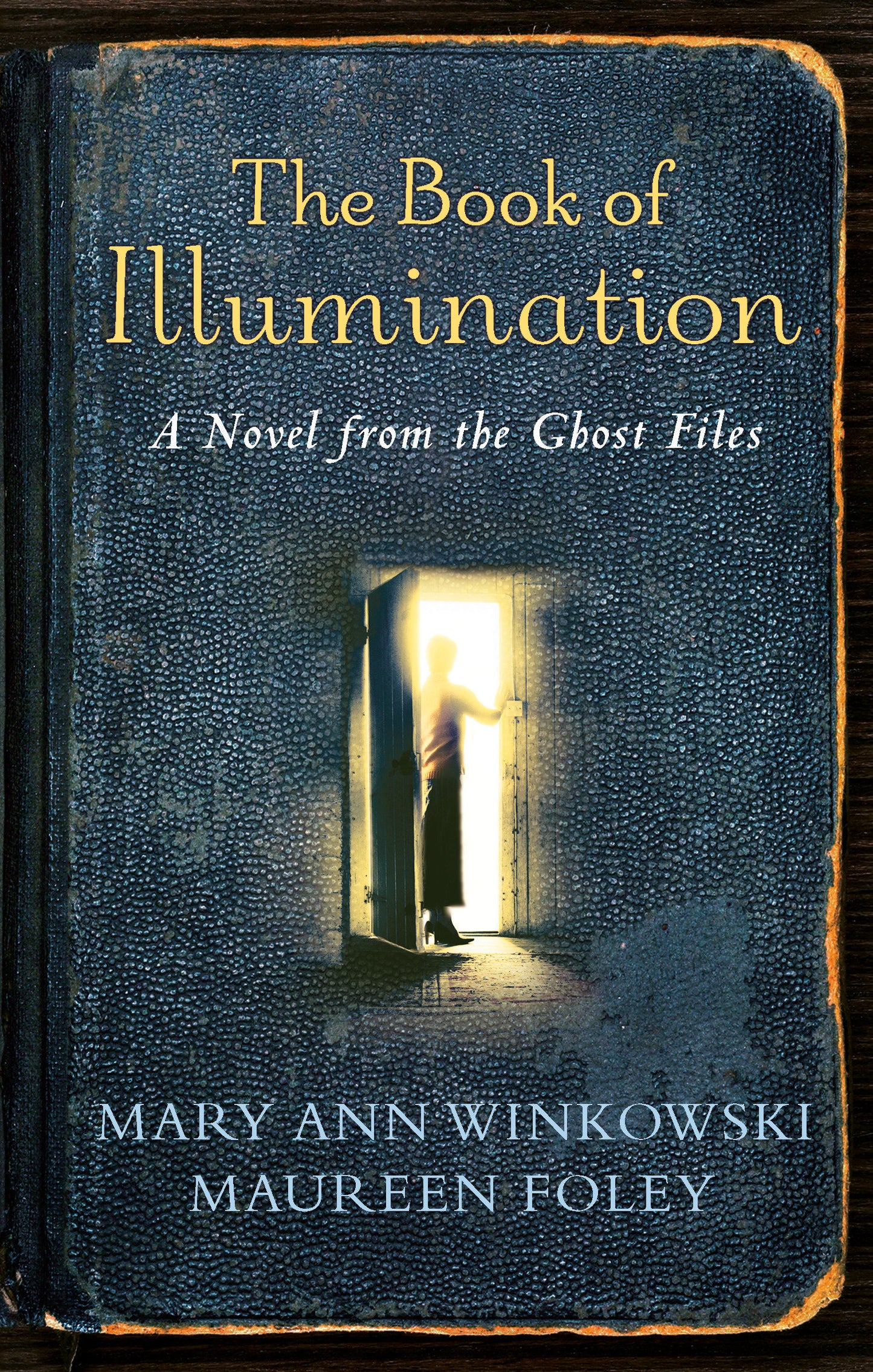 The Book of Illumination - A Novel from the Ghost Files