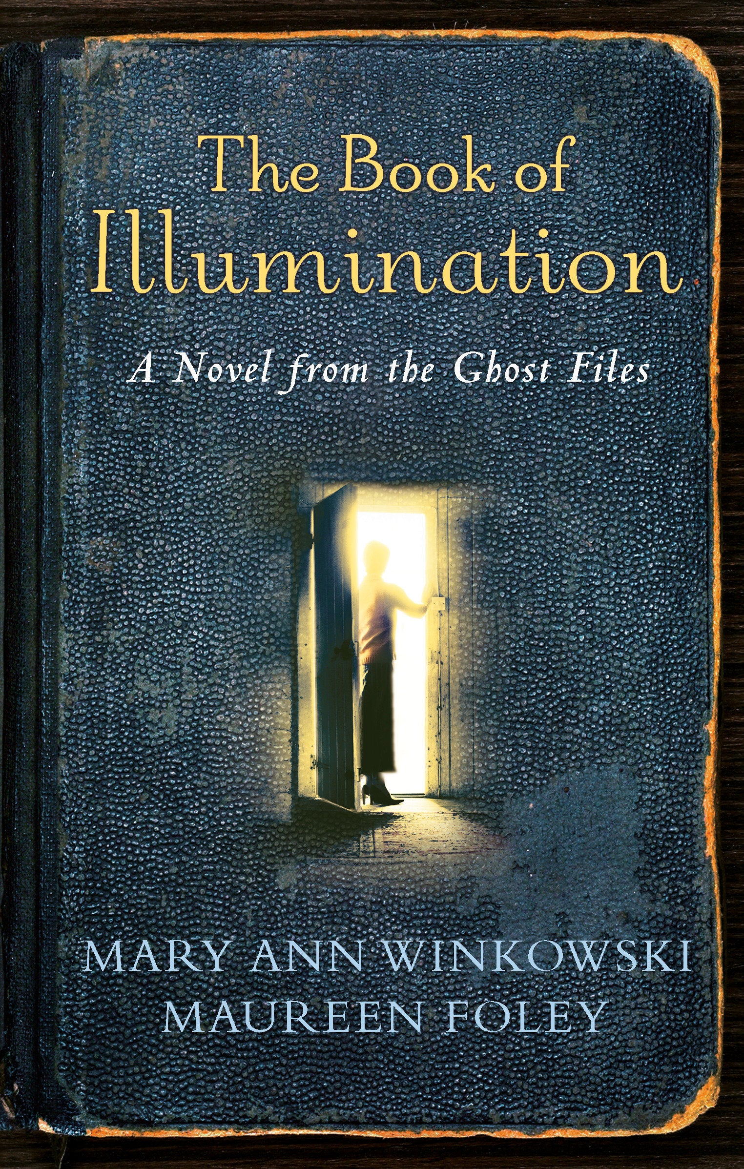 The Book of Illumination - A Novel from the Ghost Files