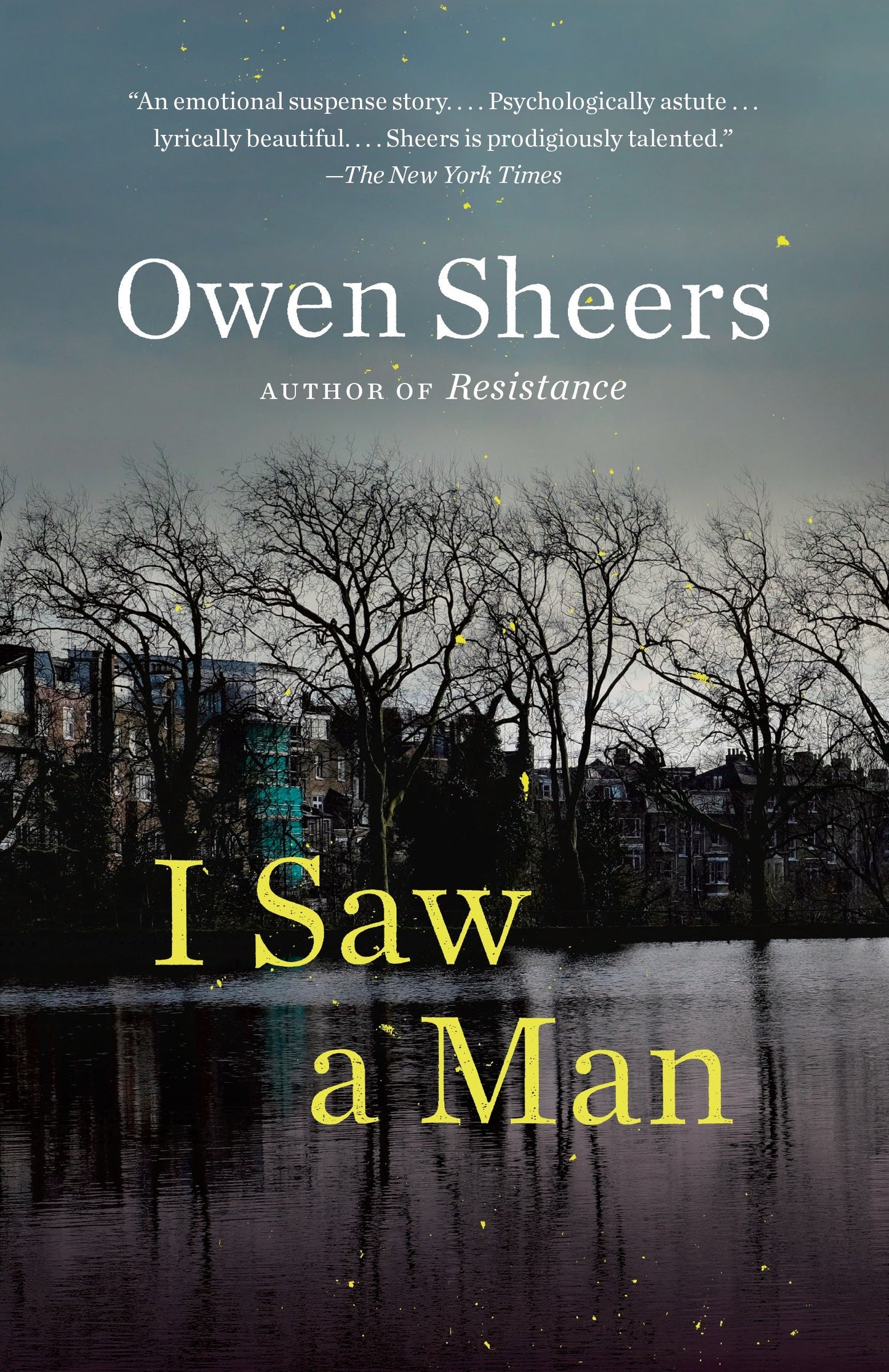 I Saw a Man - A Novel
