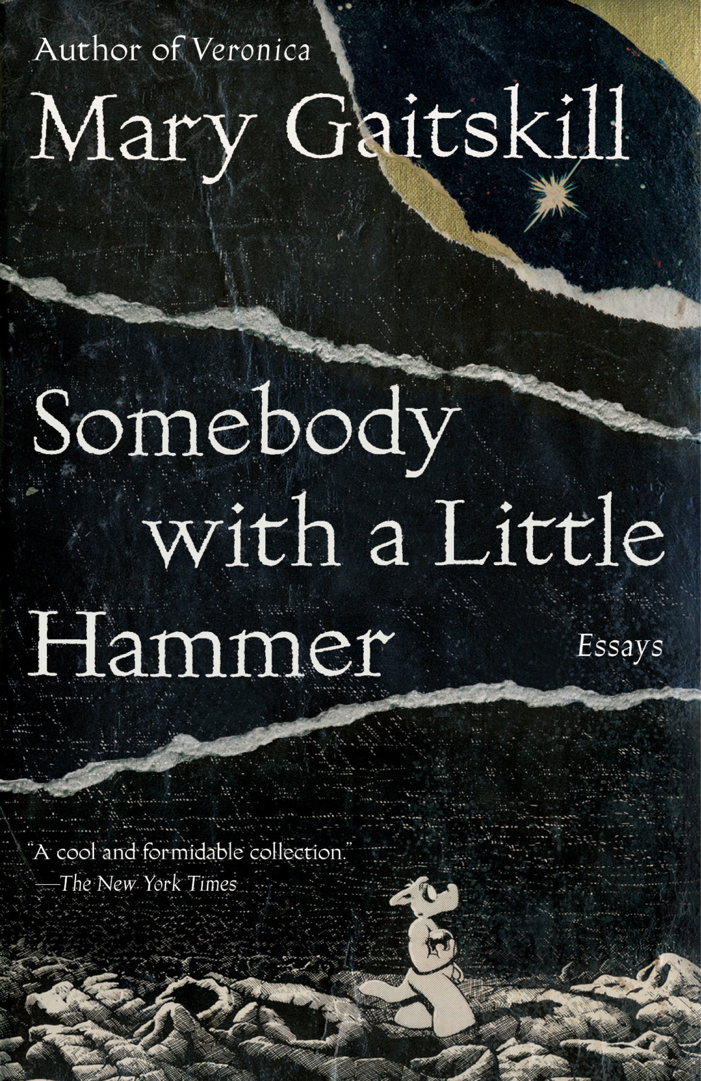 Somebody with a Little Hammer - Essays