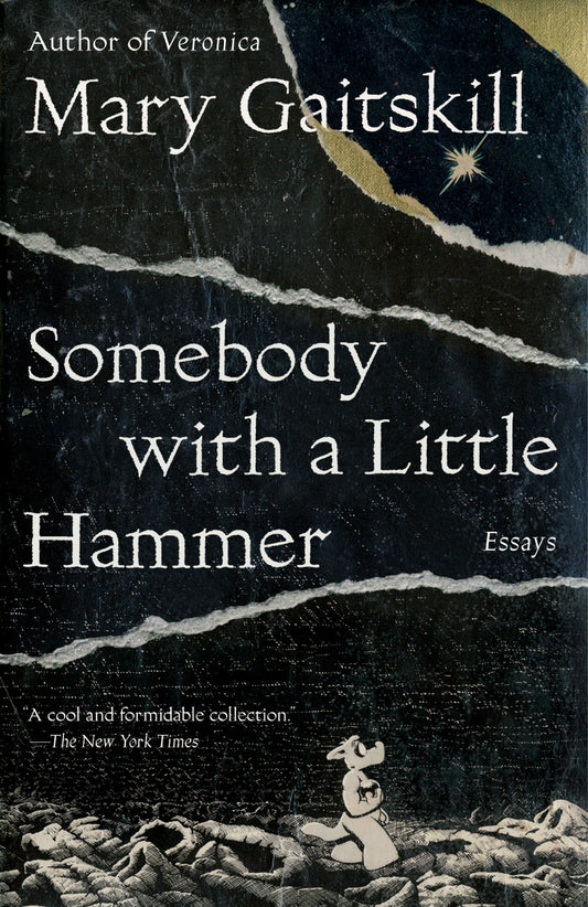 Somebody with a Little Hammer - Essays