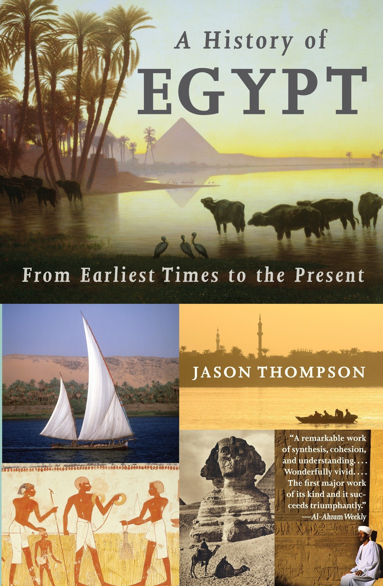 A History of Egypt - From Earliest Times to the Present