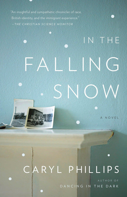 In the Falling Snow (Vintage International)