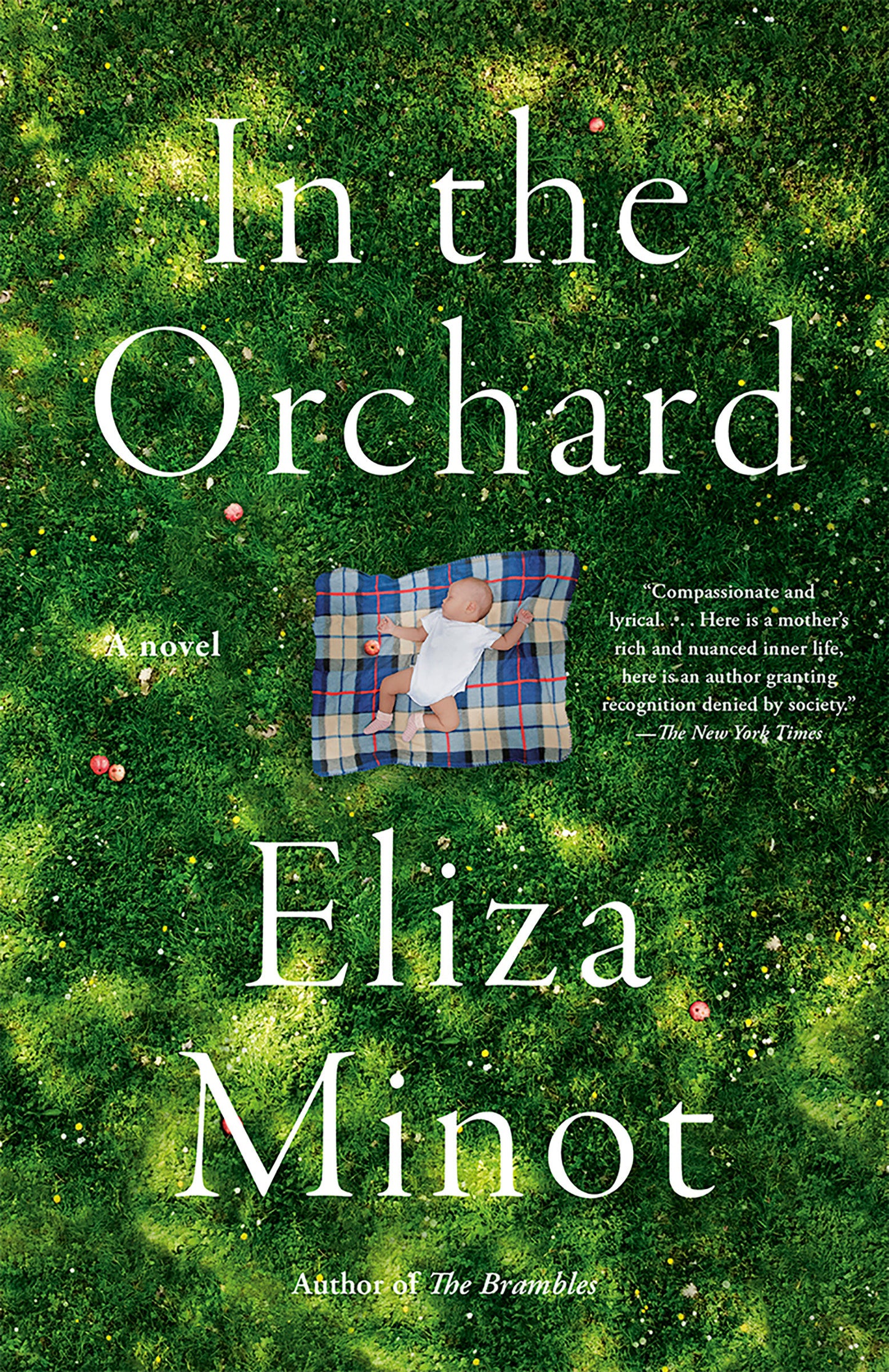 In the Orchard - A novel (Vintage Contemporaries)
