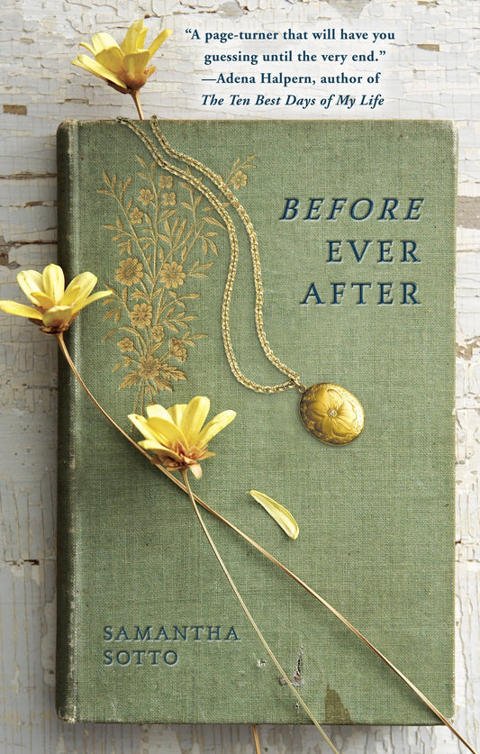 Before Ever After - A Novel