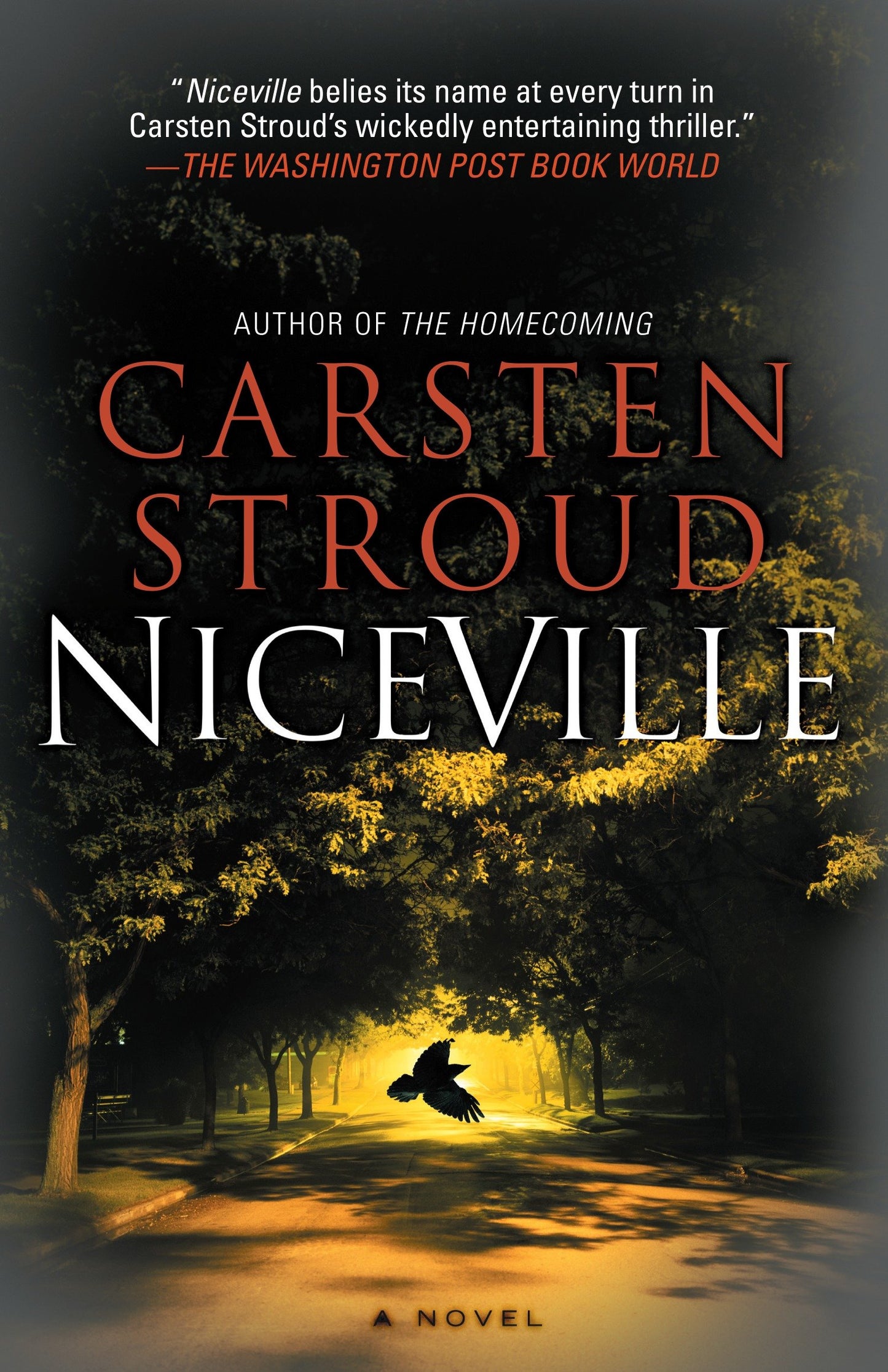 Niceville - Book One of the Niceville Trilogy (The Niceville Trilogy) (Book:1)