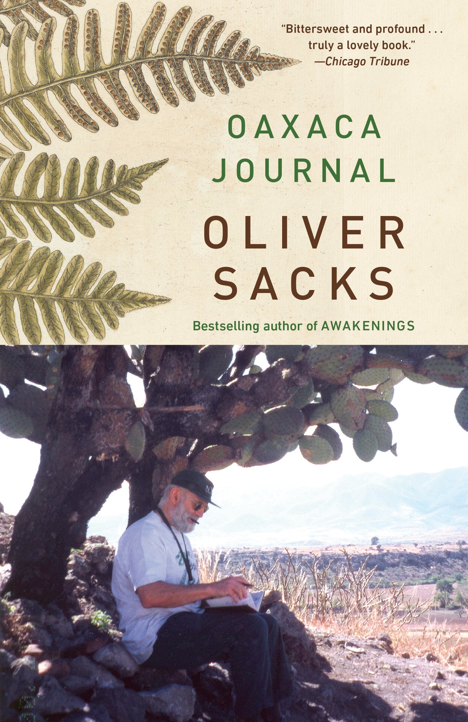 Oaxaca Journal