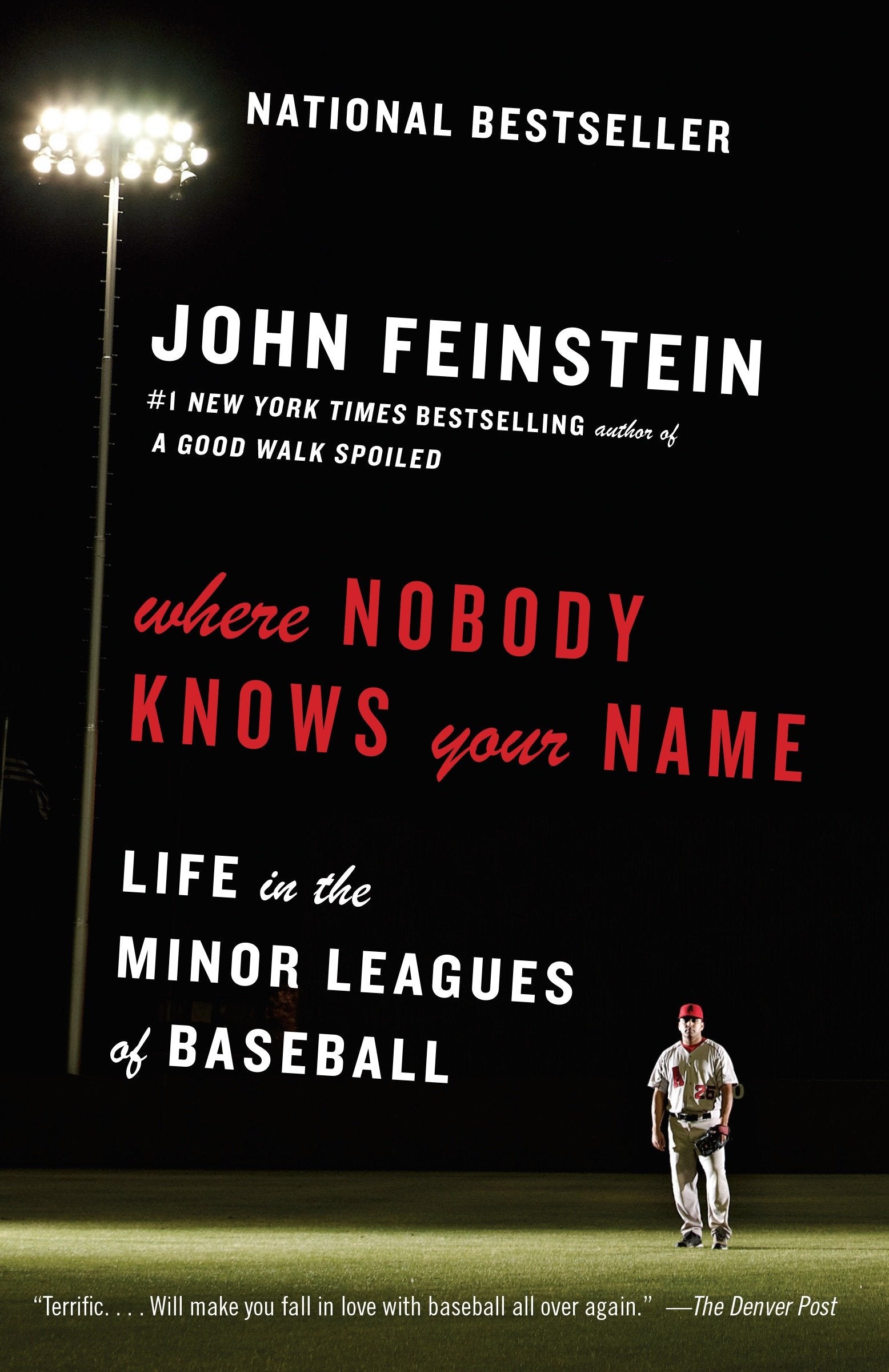 Where Nobody Knows Your Name - Life in the Minor Leagues of Baseball (Anchor Sports)