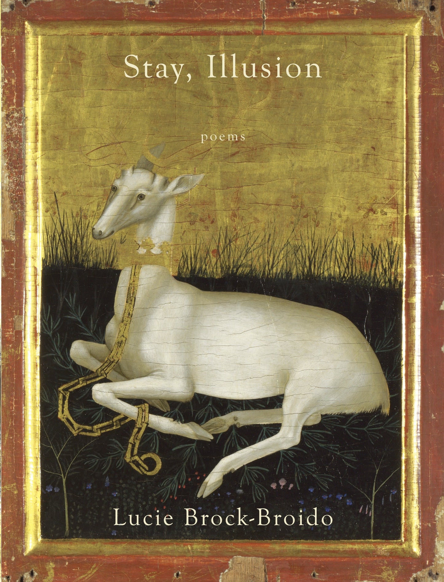 Stay, Illusion - Poems