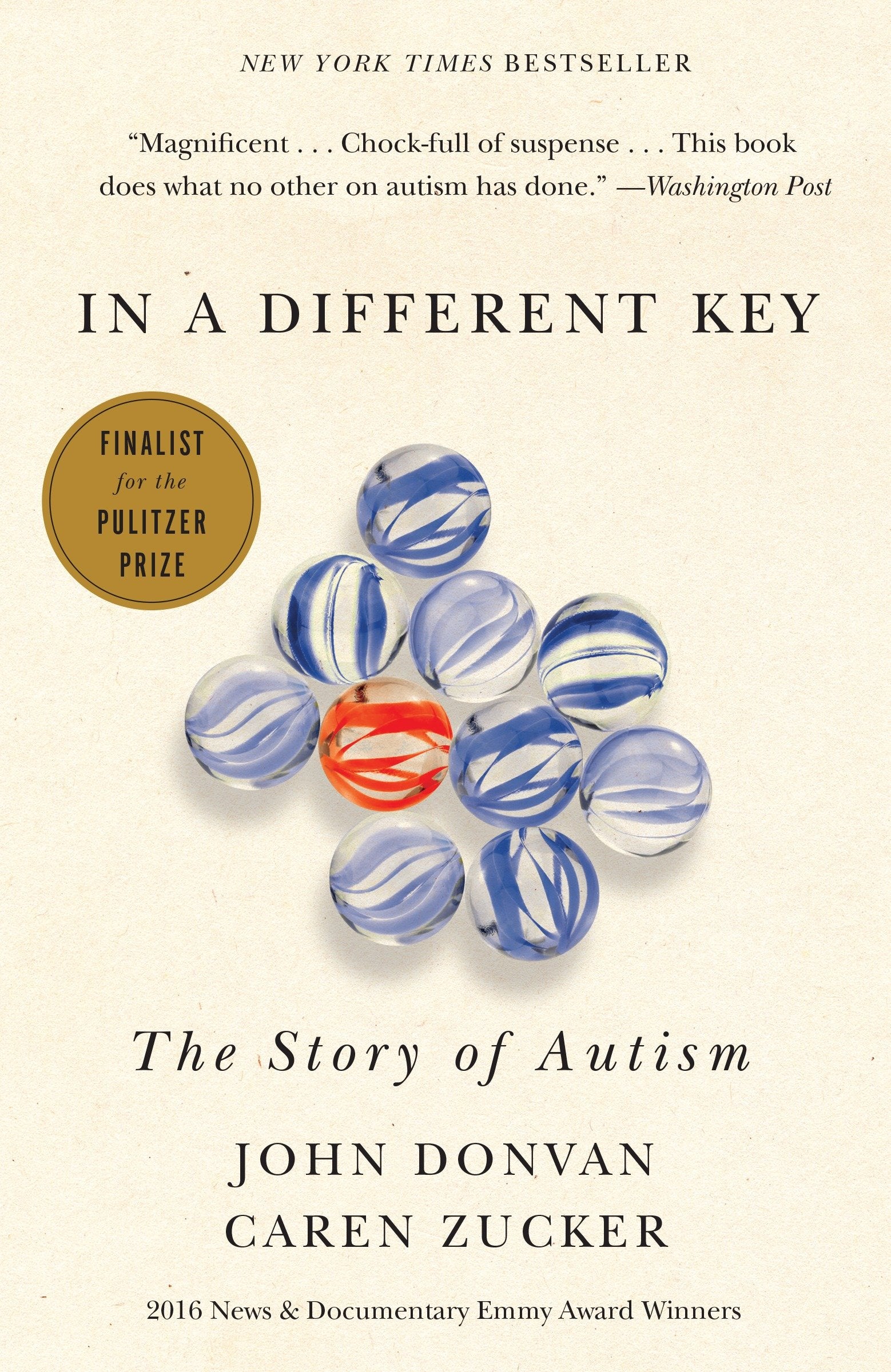 In a Different Key - The Story of Autism
