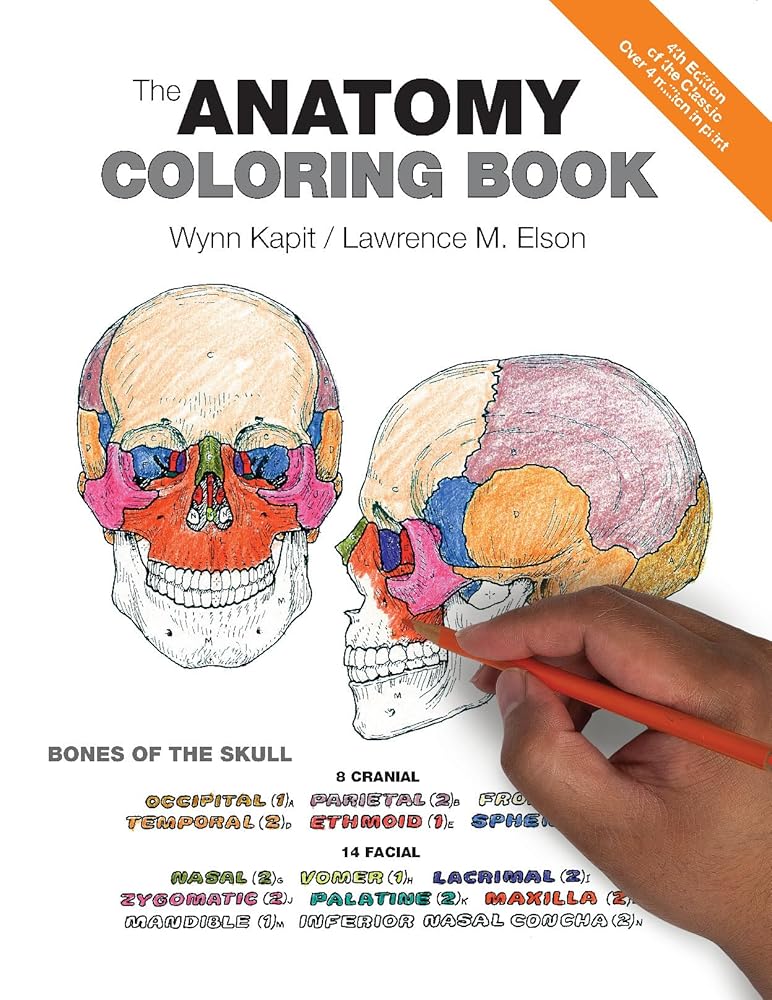 Anatomy Coloring Book, The cover image