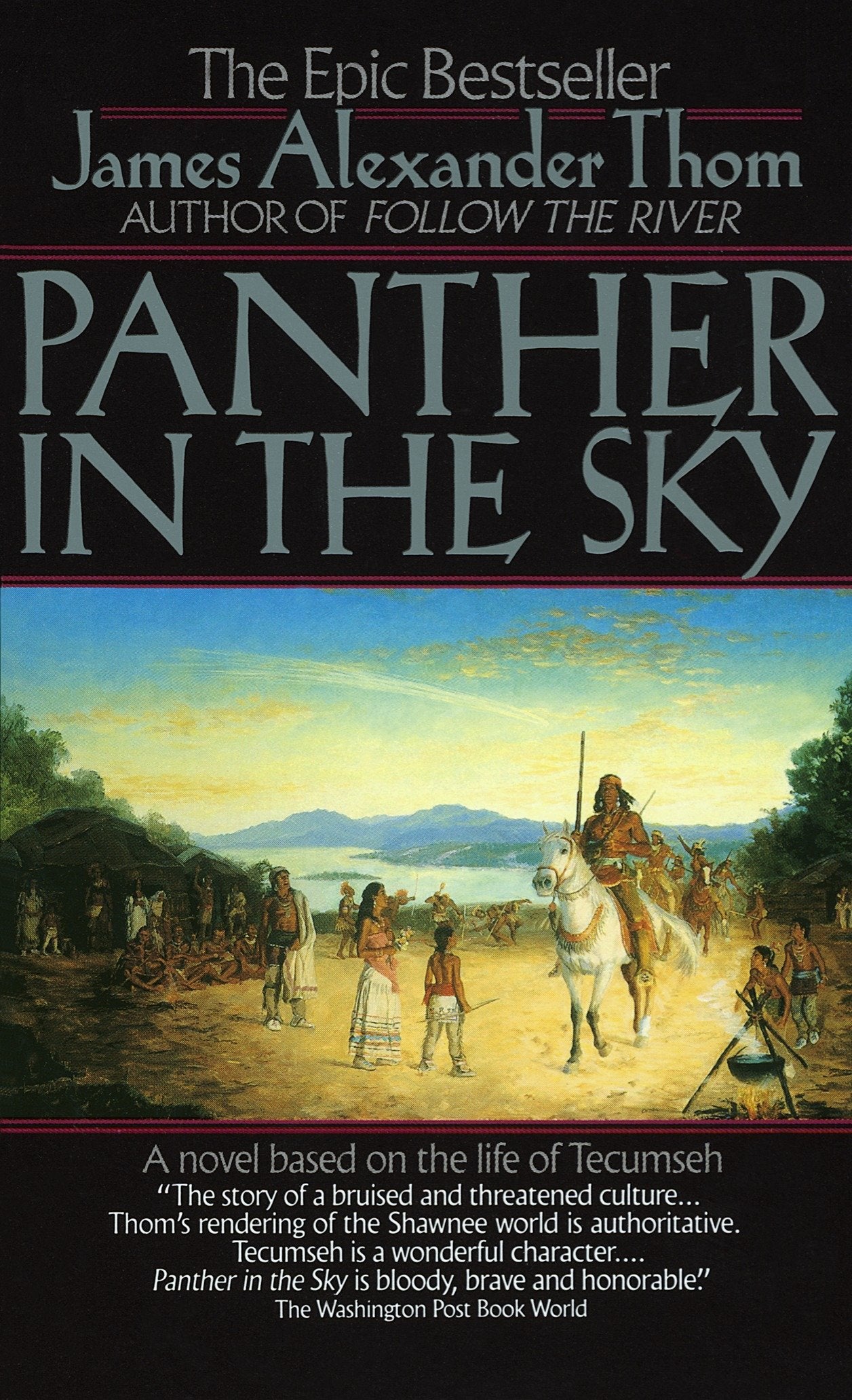 Panther in the Sky - A Novel based on the life of Tecumseh