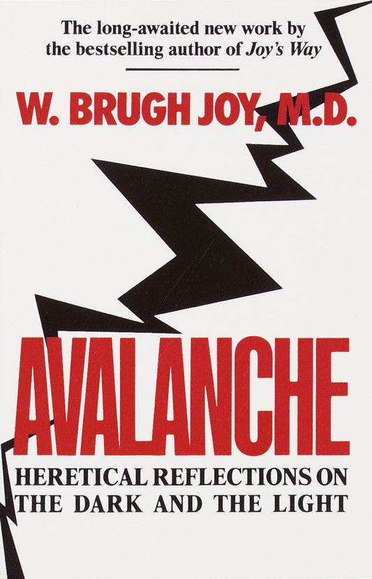 Avalanche - Heretical Reflections on the Dark and the Light