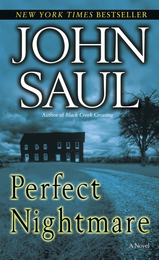 Perfect Nightmare - A Novel
