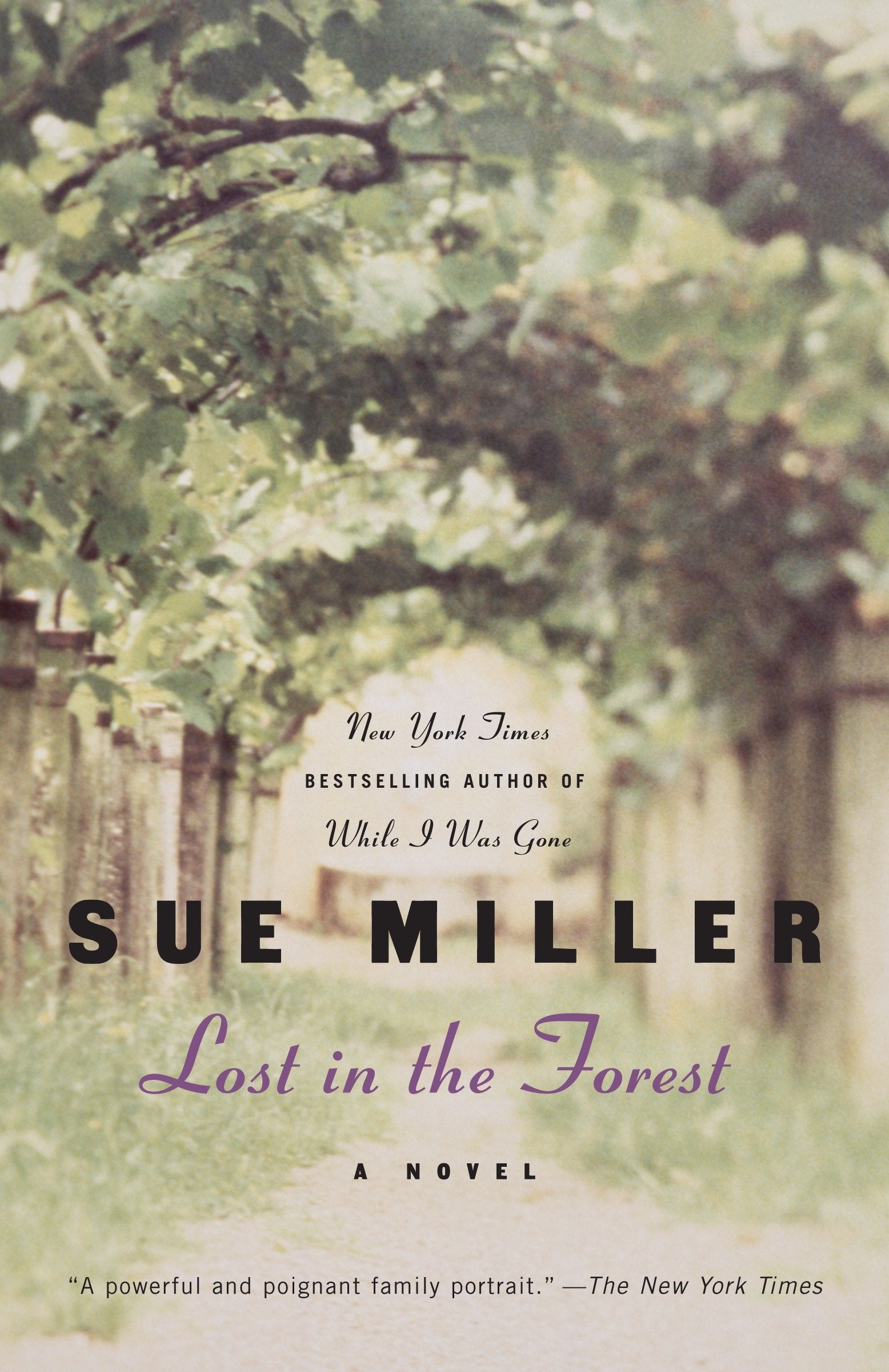 Lost in the Forest - A Novel