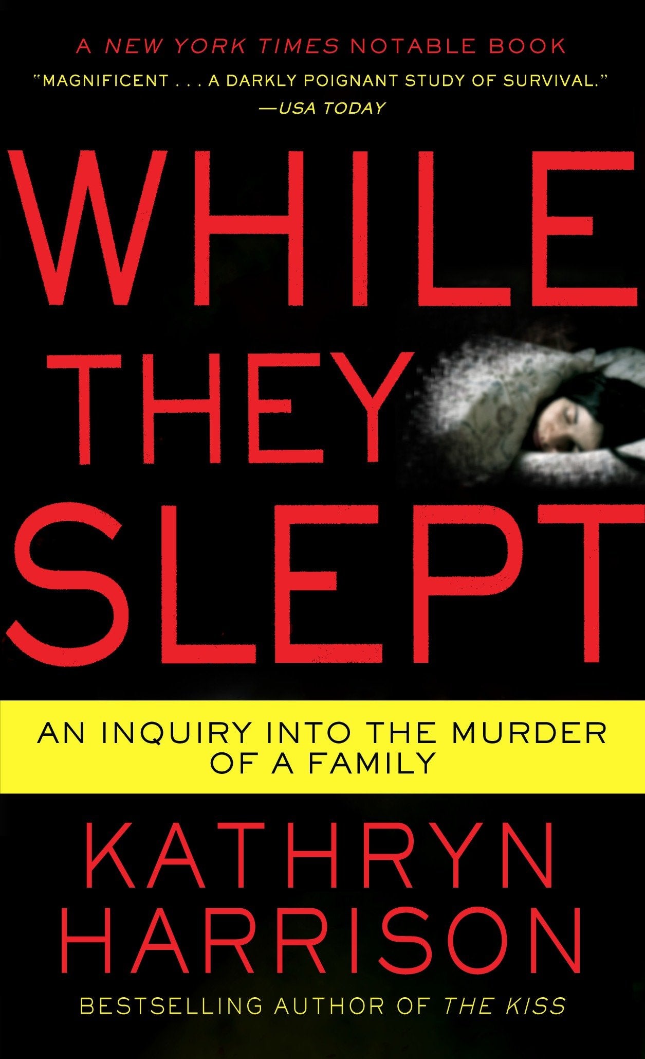 While They Slept - An Inquiry into the Murder of a Family