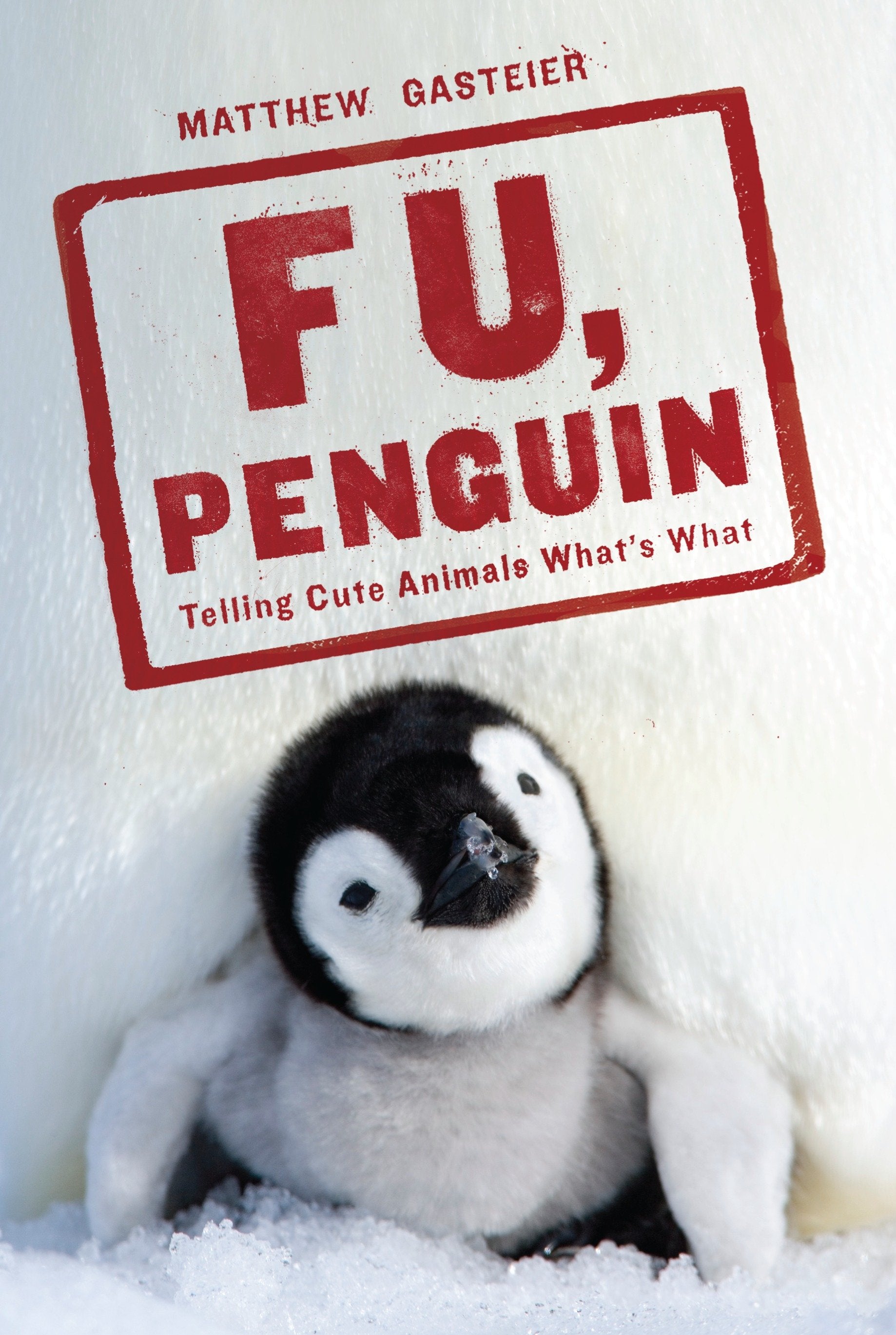 F U, Penguin - Telling Cute Animals What's What