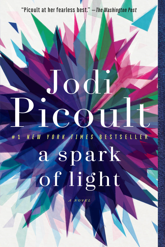 A Spark of Light - A Novel