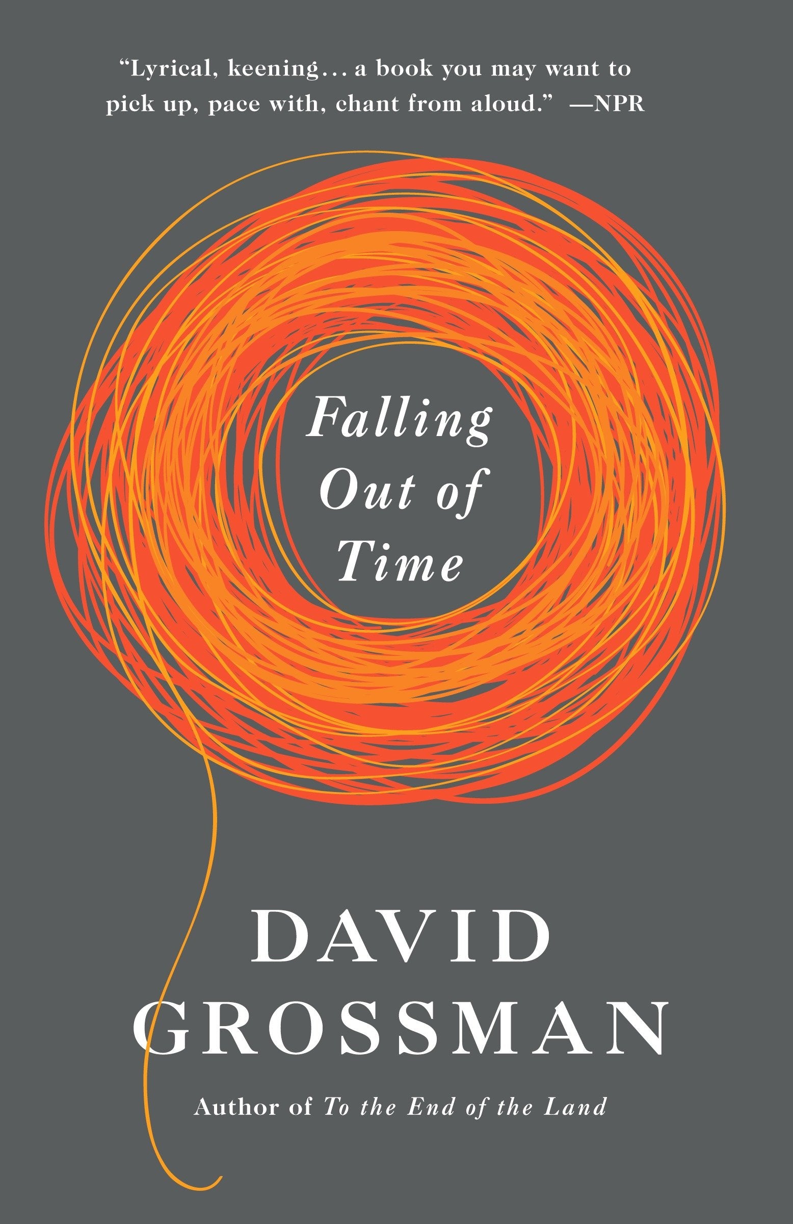 Falling Out of Time (Vintage International)