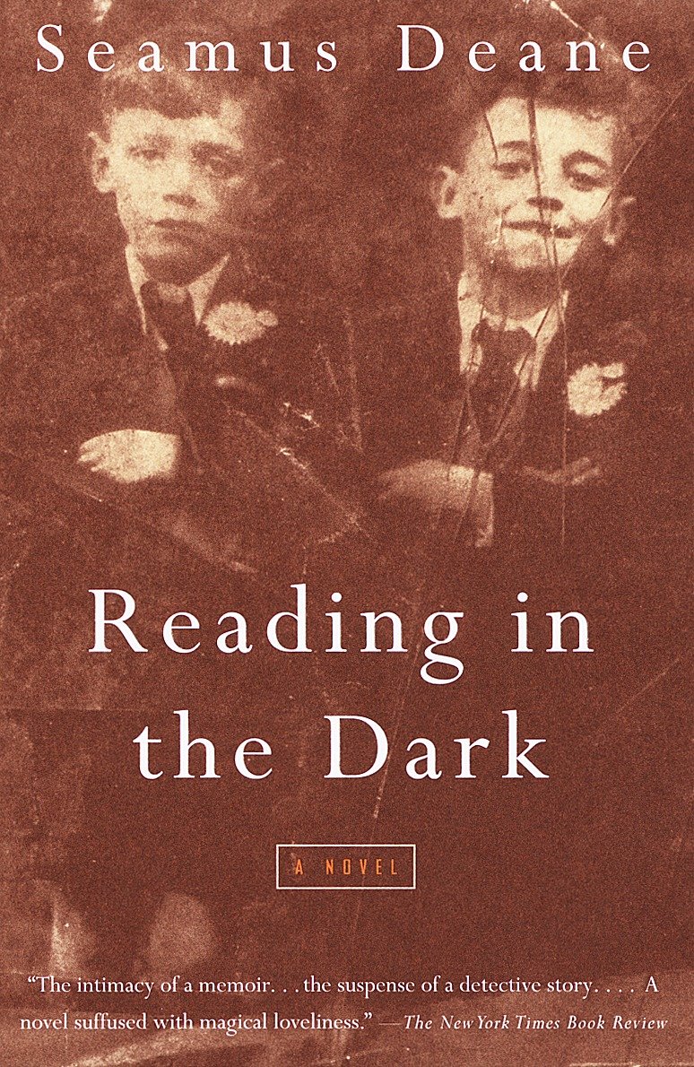 Reading in the Dark - A Novel (Vintage International)