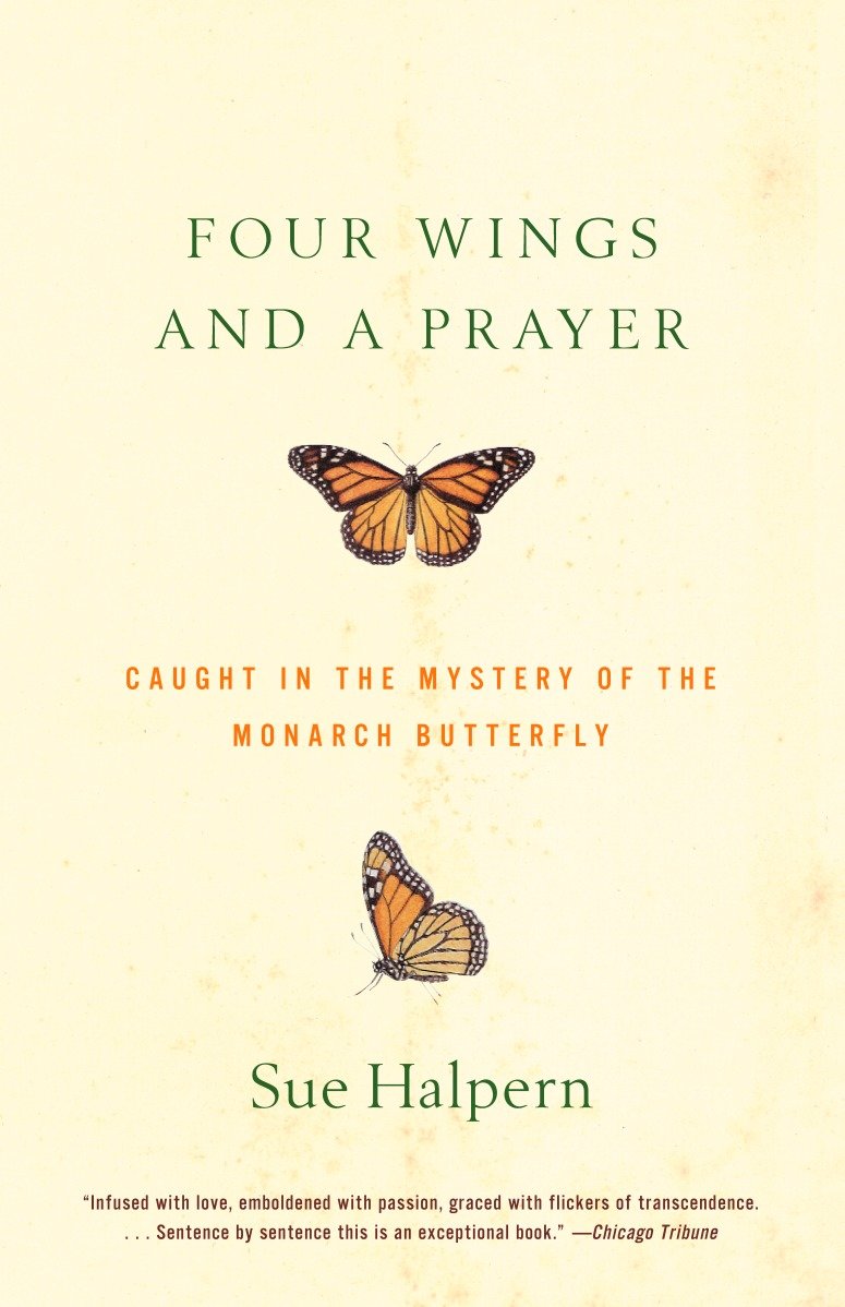 Four Wings and a Prayer - Caught in the Mystery of the Monarch Butterfly