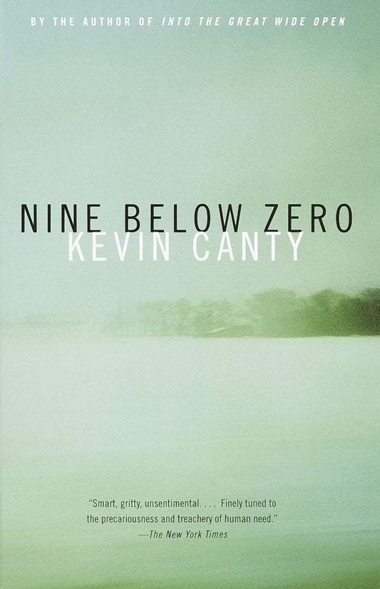 Nine Below Zero (Vintage Contemporaries)