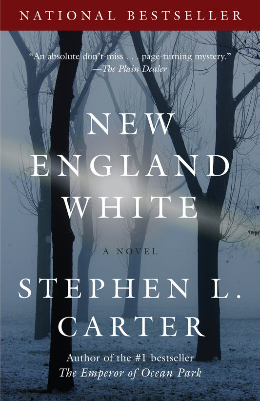 New England White - A Novel (Vintage Contemporaries)