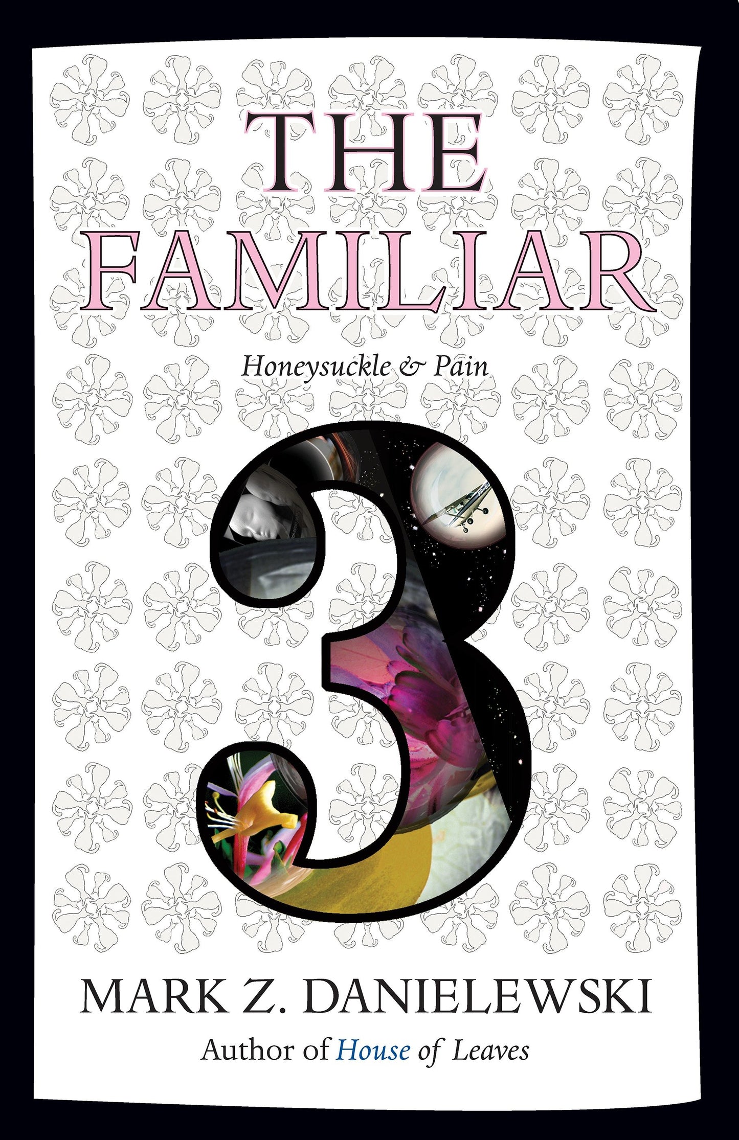 The Familiar, Volume 3 - Honeysuckle & Pain (The Familiar) (Book:3)