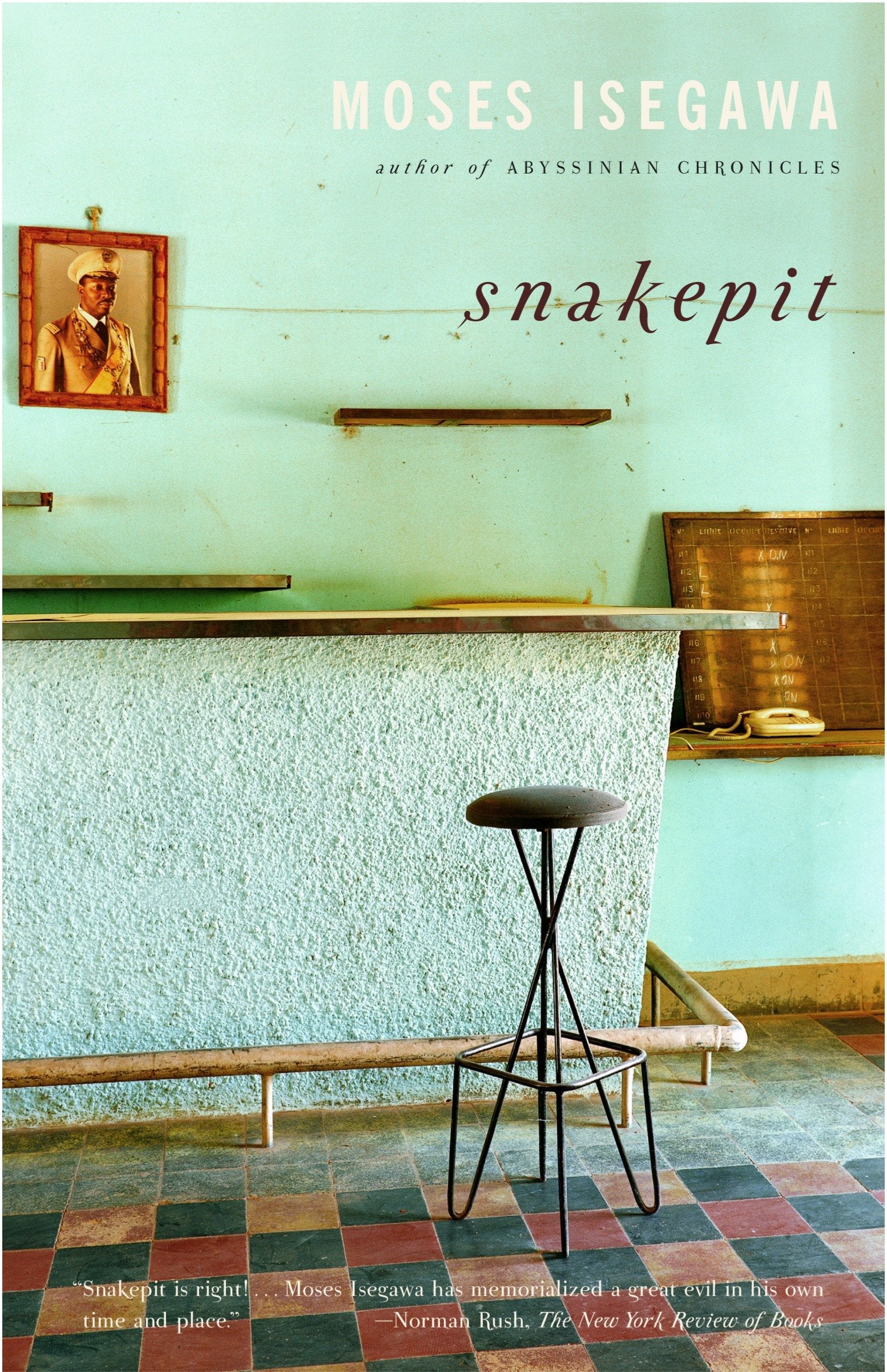 Snakepit - A Novel (Vintage International)