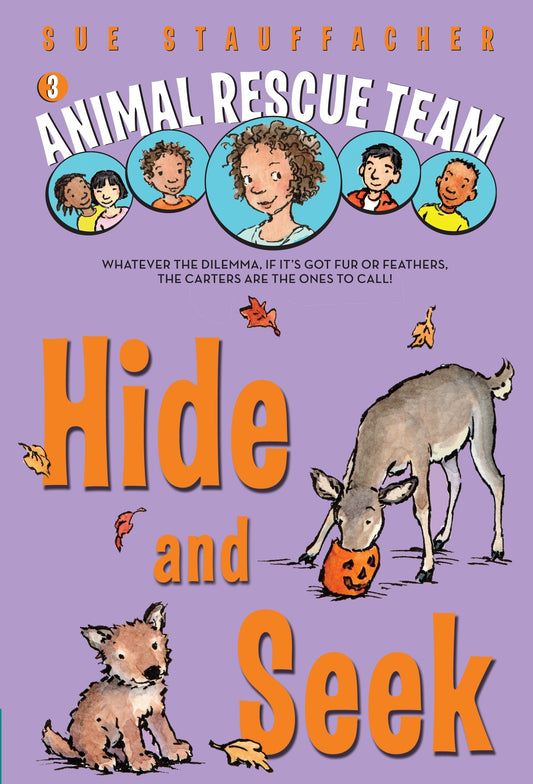 Animal Rescue Team: Hide and Seek (Animal Rescue Team) (Book:3)