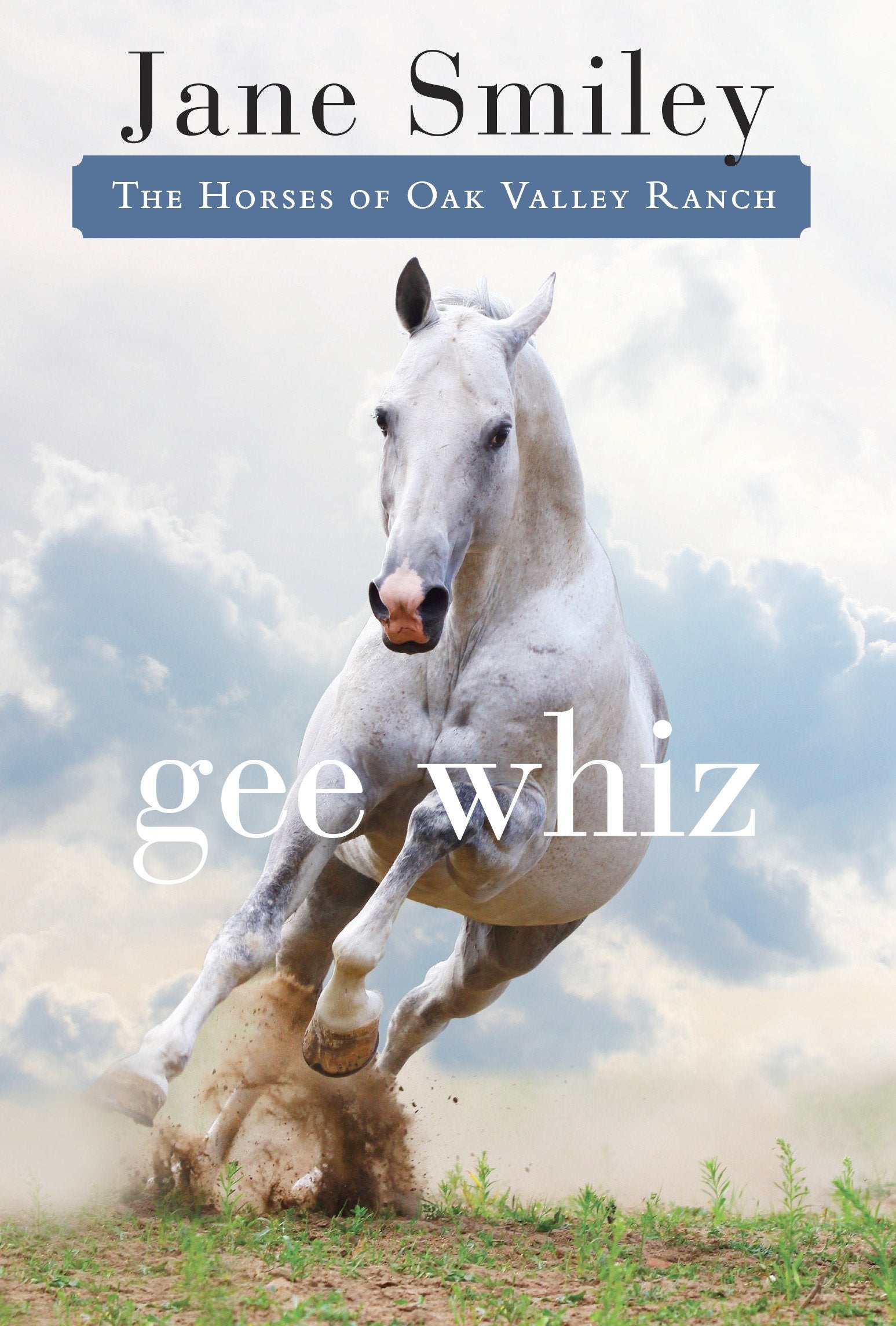 Gee Whiz - Book Five of the Horses of Oak Valley Ranch (The Horses of Oak Valley Ranch) (Book:5)