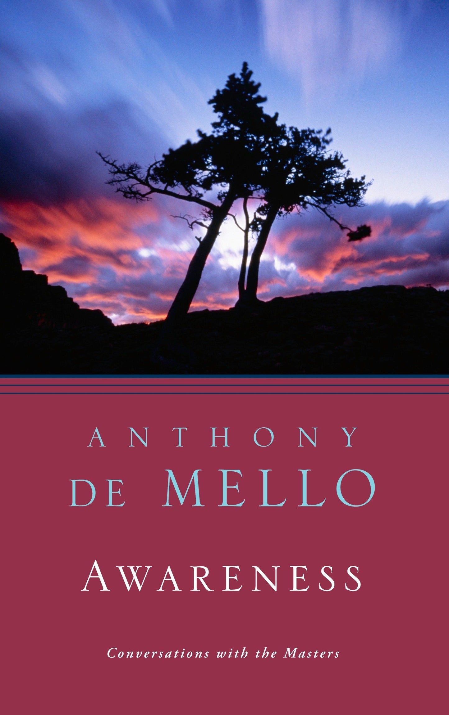 Awareness - Conversations with the Masters