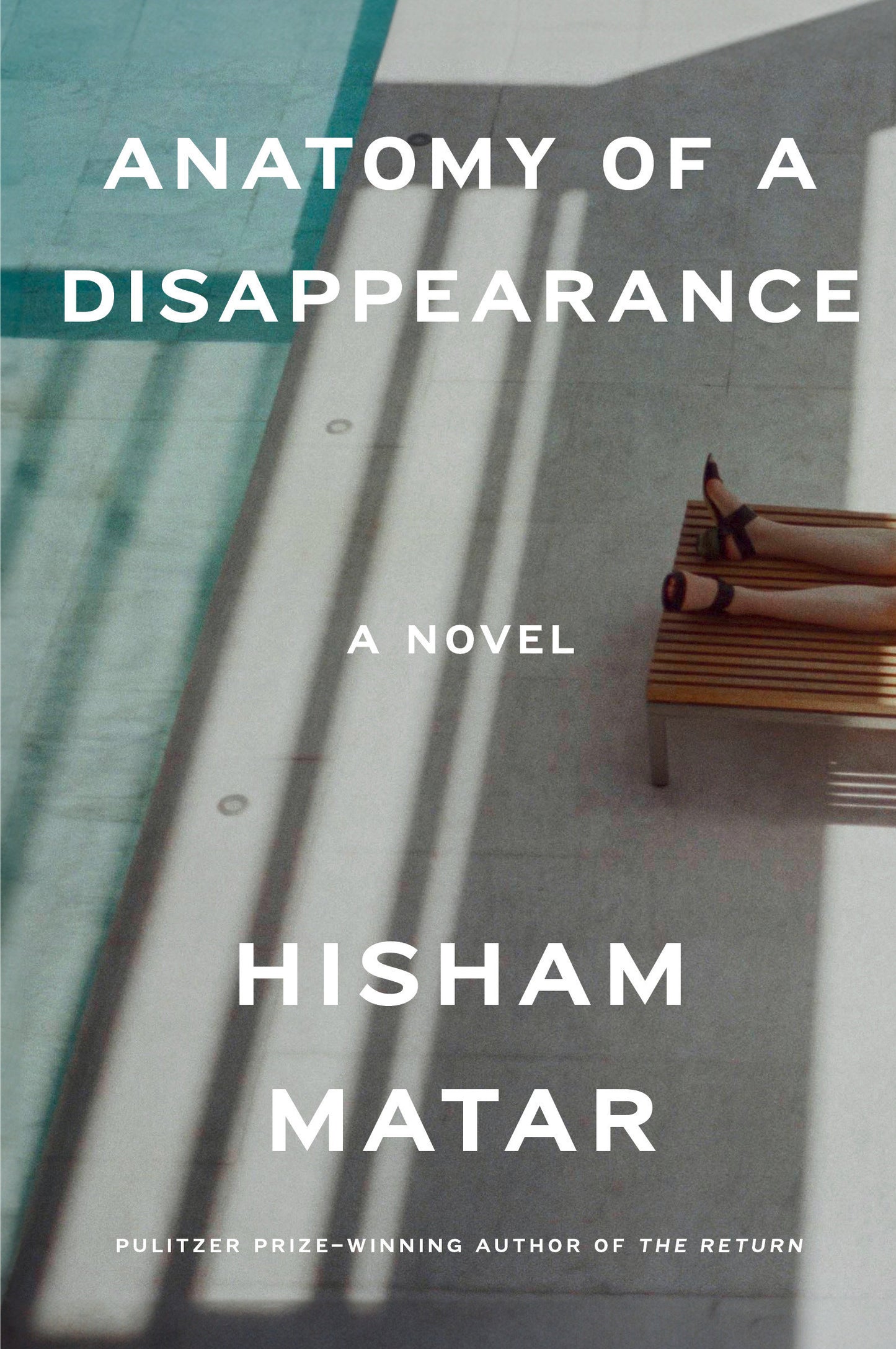 Anatomy of a Disappearance - A Novel