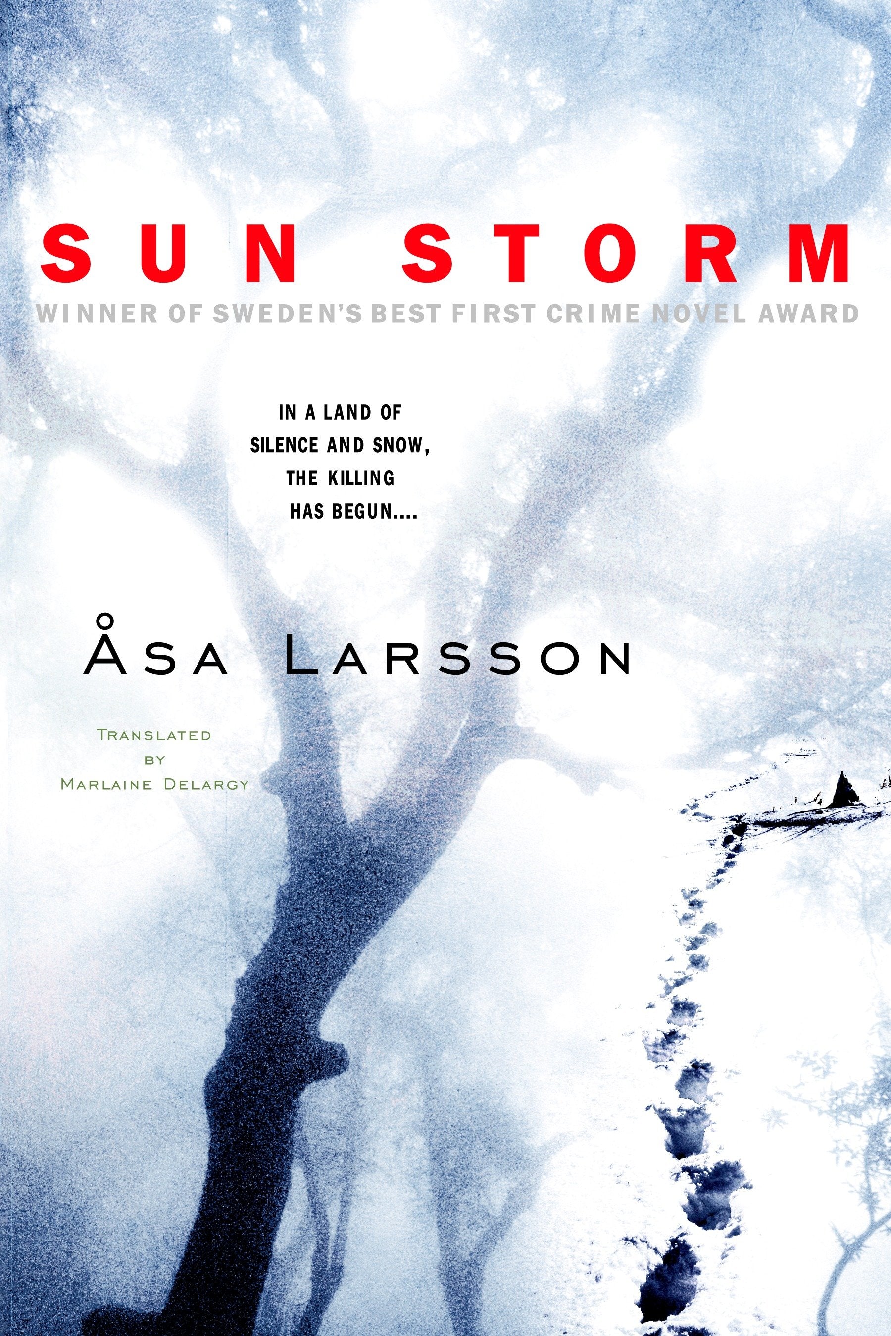 Sun Storm (Rebecka Martinsson) (Book:1)