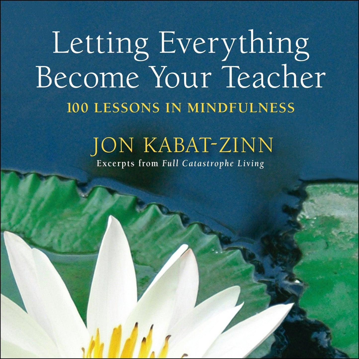 Letting Everything Become Your Teacher - 100 Lessons in Mindfulness
