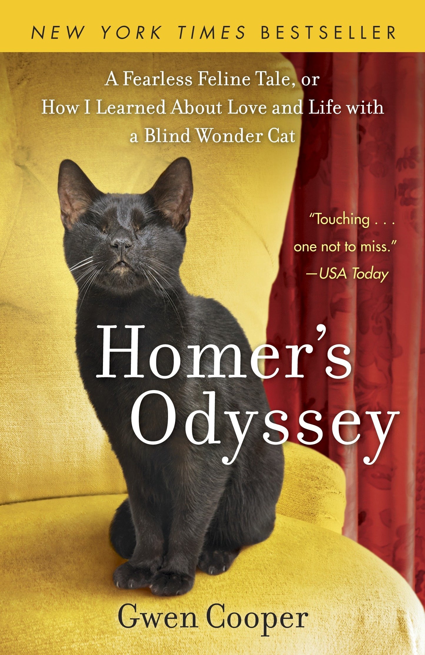 Homer's Odyssey - A Fearless Feline Tale, or How I Learned about Love and Life with a Blind WonderCat
