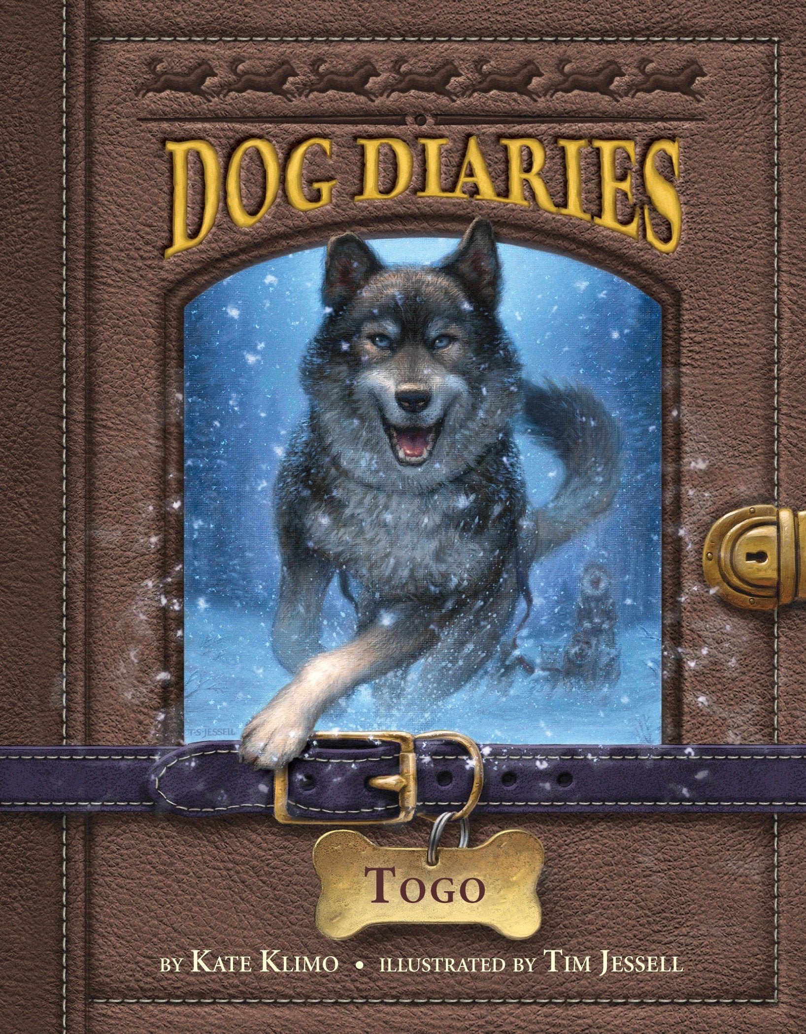 Dog Diaries #4: Togo (Dog Diaries) (Book:4)
